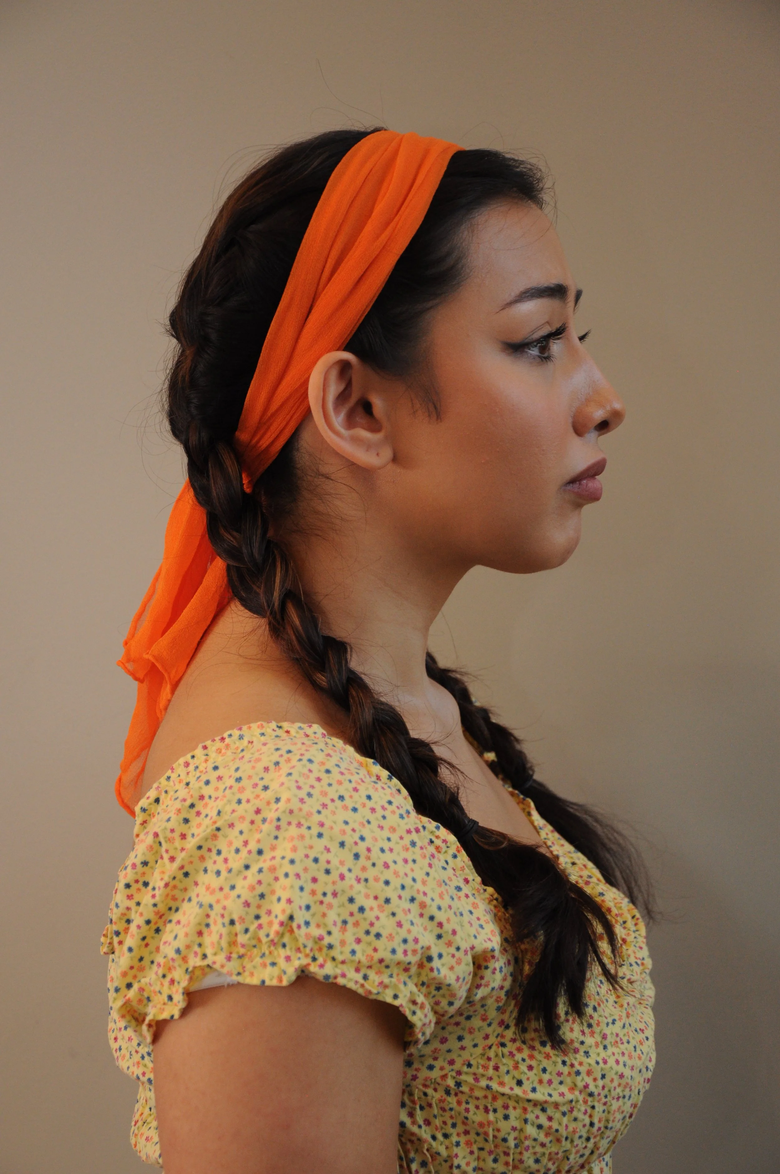 Opera portrait-JStrauss.JPG
