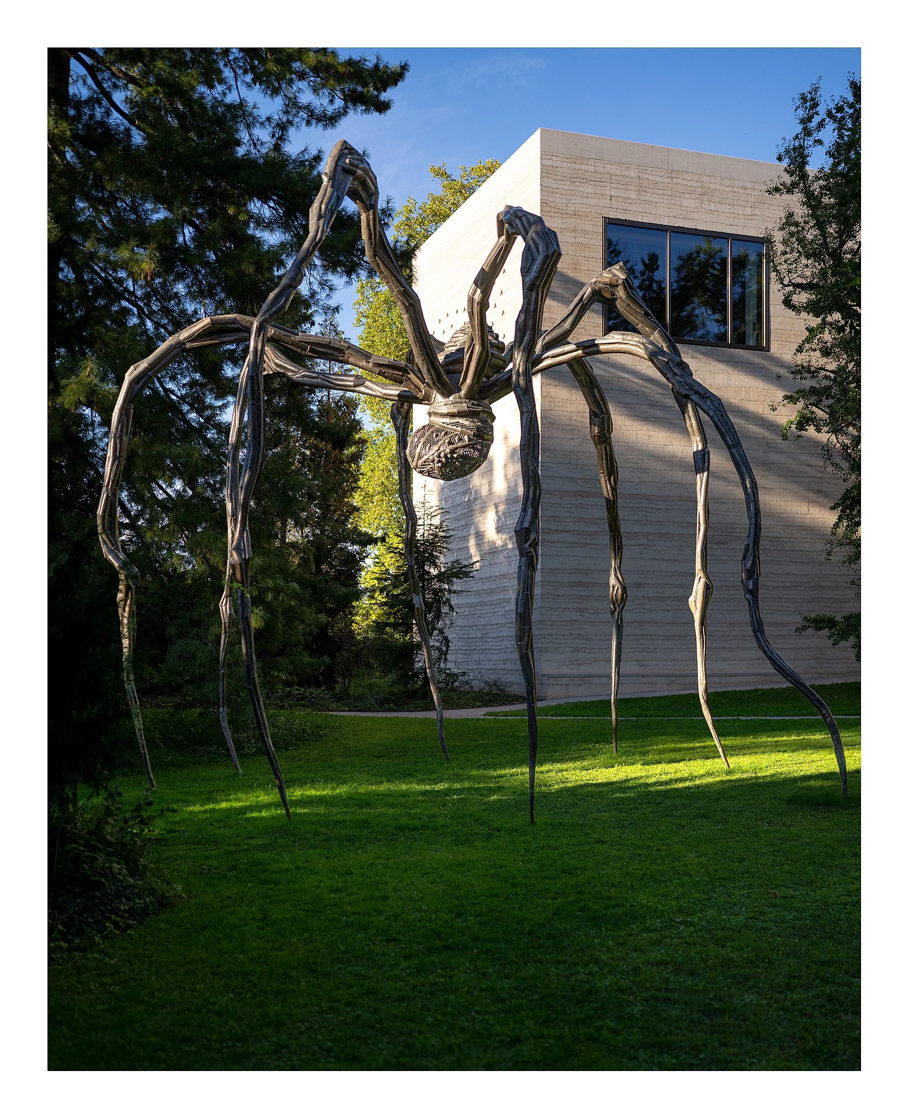 Louise Bourgeois