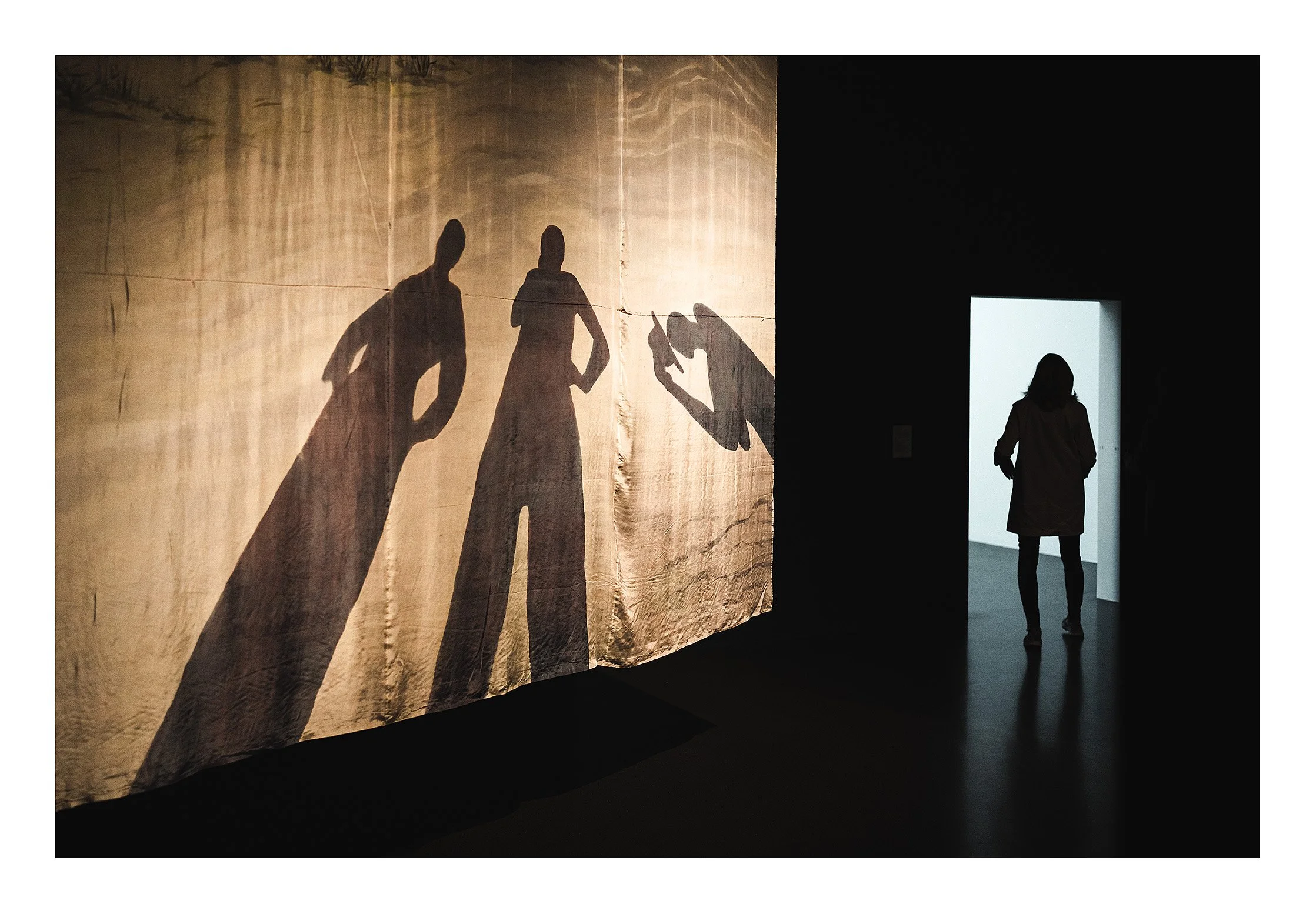 Shadow Betye Saar.jpg