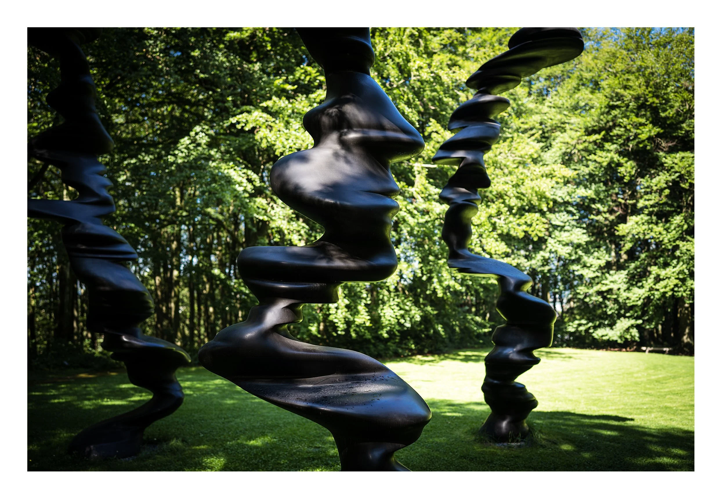 Tony Cragg