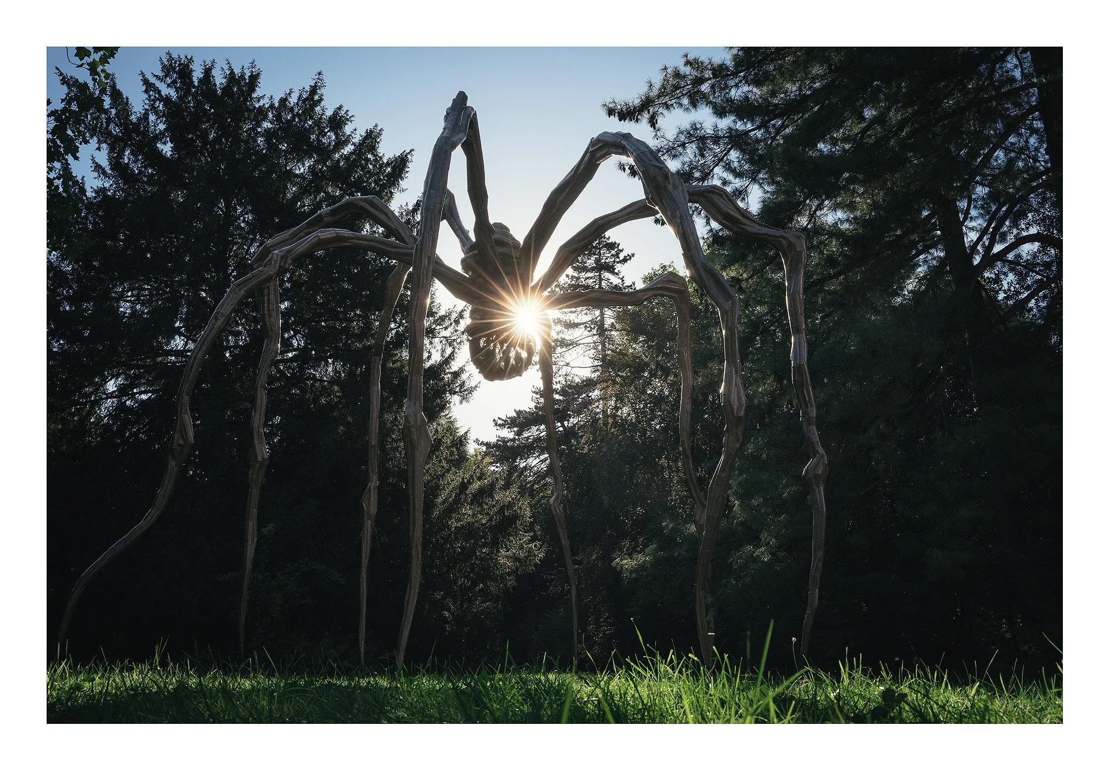 Louise Bourgeois