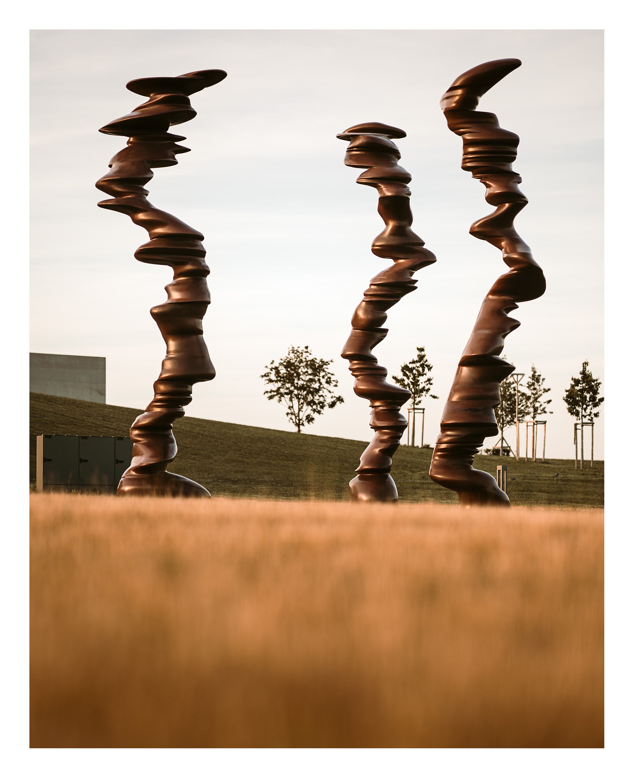 Tony Cragg