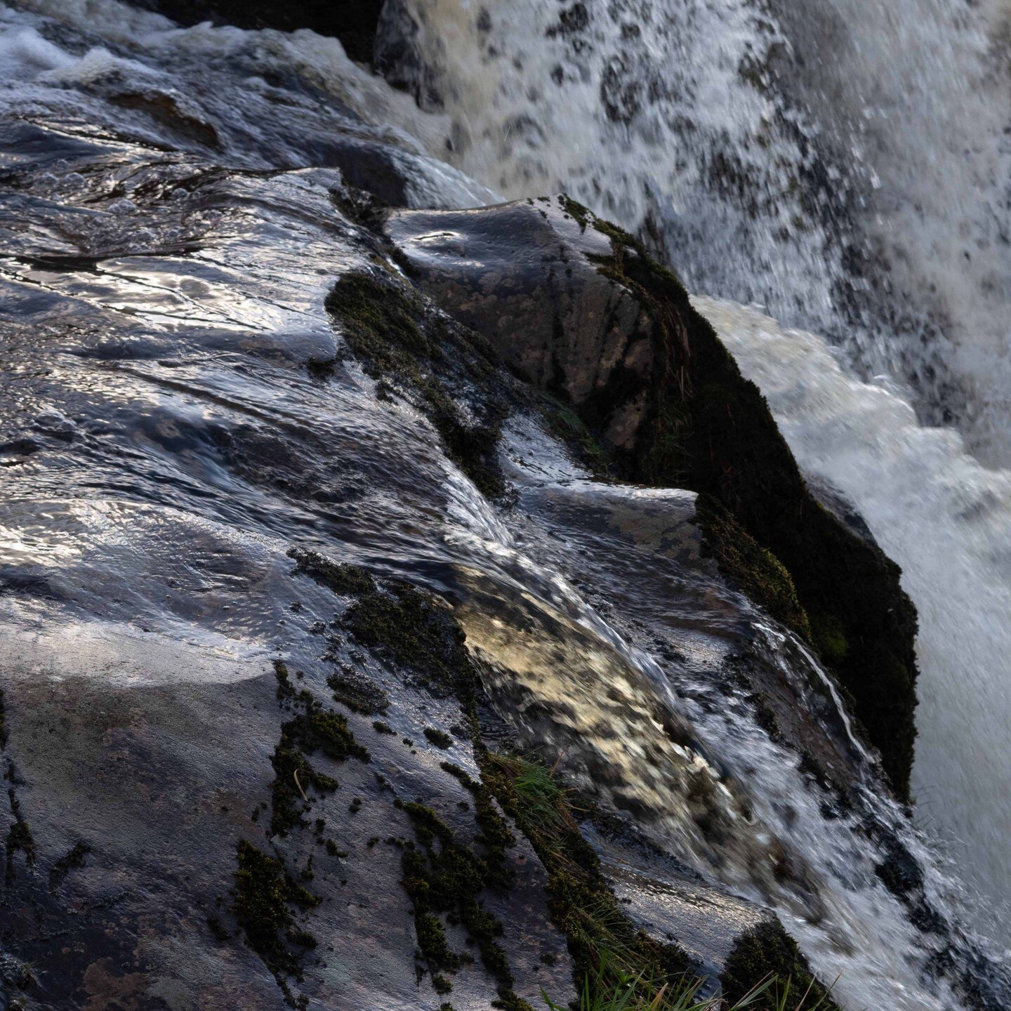 Weekend Waterfall hunting - The Loup of Fintry and Inversnaid Falls on Loch Lomond
.
.
#scotlandisbeautiful #waterfalls #cascadingwater #exploringscotland #loupoffintry #inversnaidfalls #shapeofwater #cascading #textureofwater #womenphotographers