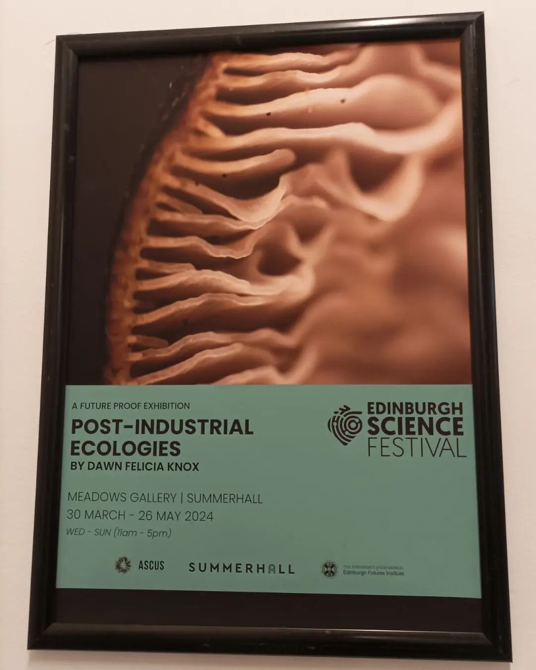 Highlights from Saturday in Edinburgh exploring the opening day of the Edinburgh Science Festival - the first one is Post-Industrial Ecologies by Dawn Felicia Knox, a three room multi stage installation display including projections, microscopy and c