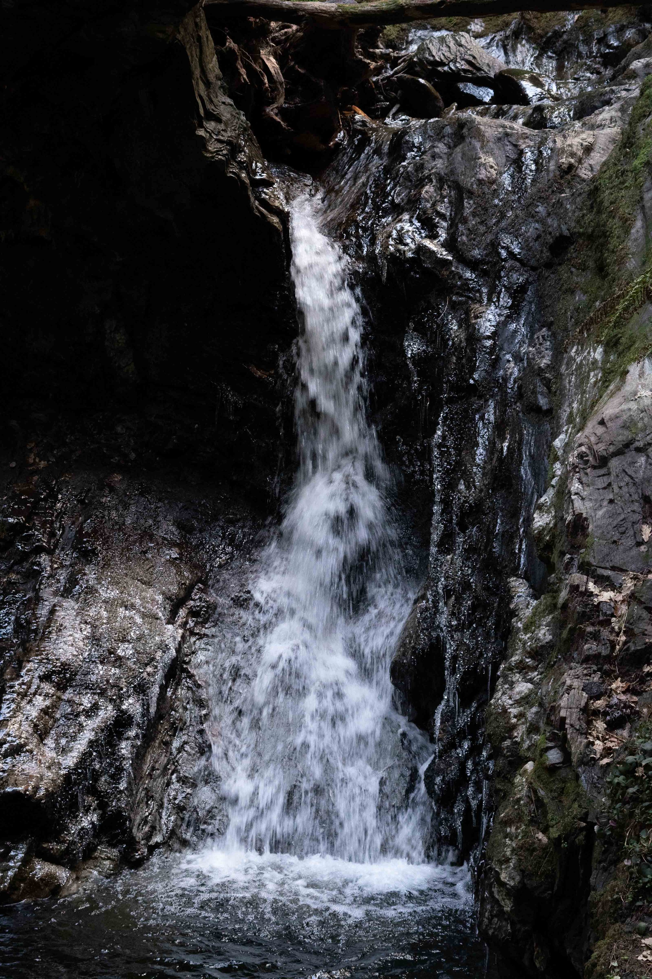 Puck's Glen 8 x 6" Print
