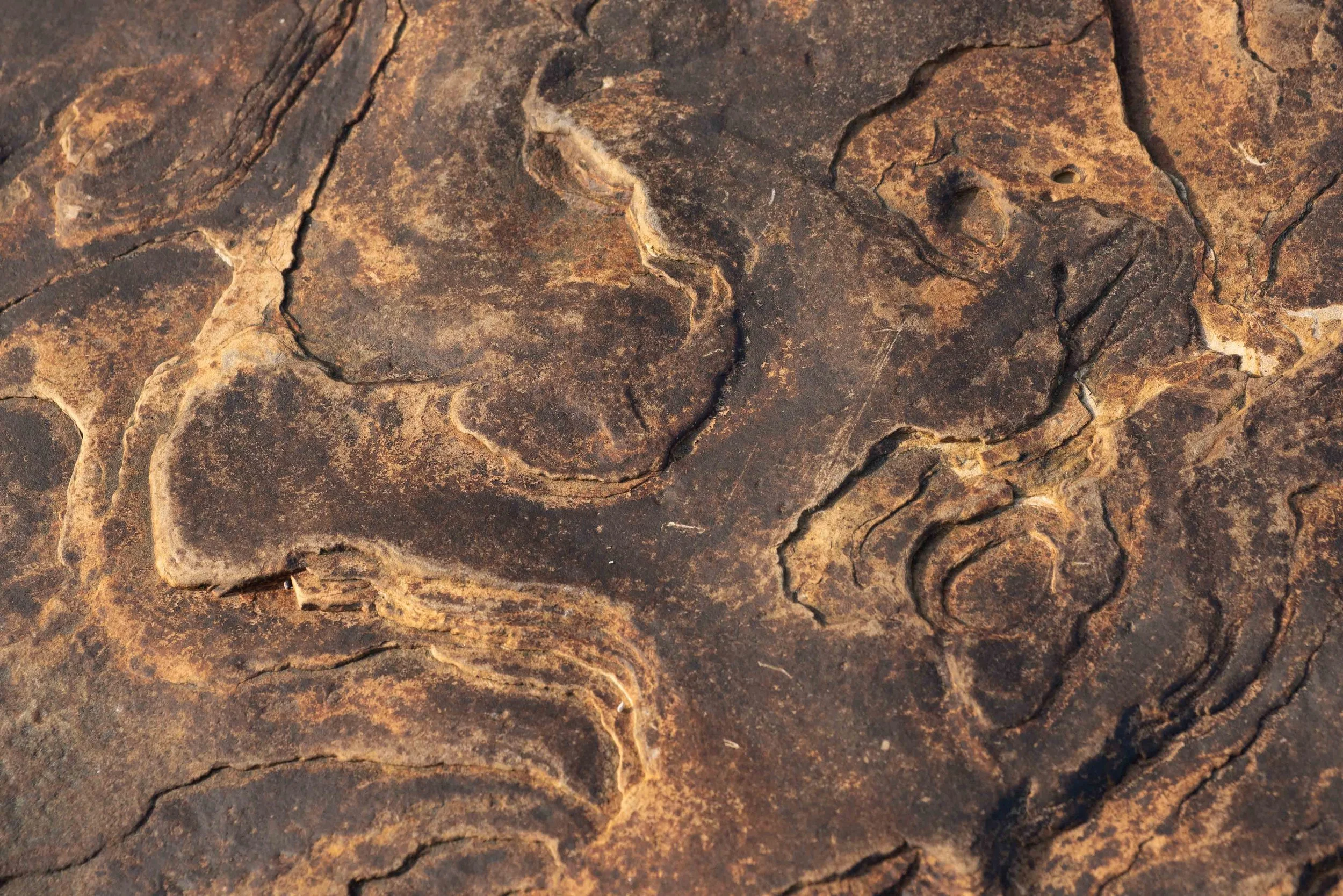 Air, Sea and Soil: MICRO-MACRO