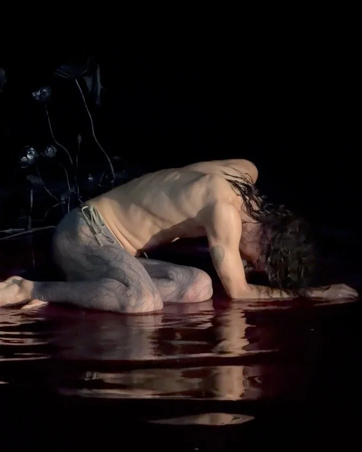 In this new, healing creation, love and war go together. &mdash; review by Kester Freriks, @theaterkrant.nl ˋ&deg;&bull;*⁀➷

Silver forms like leaves in a forest, lotus blooms drifting on the surface, the slow reddening of something that was once sti