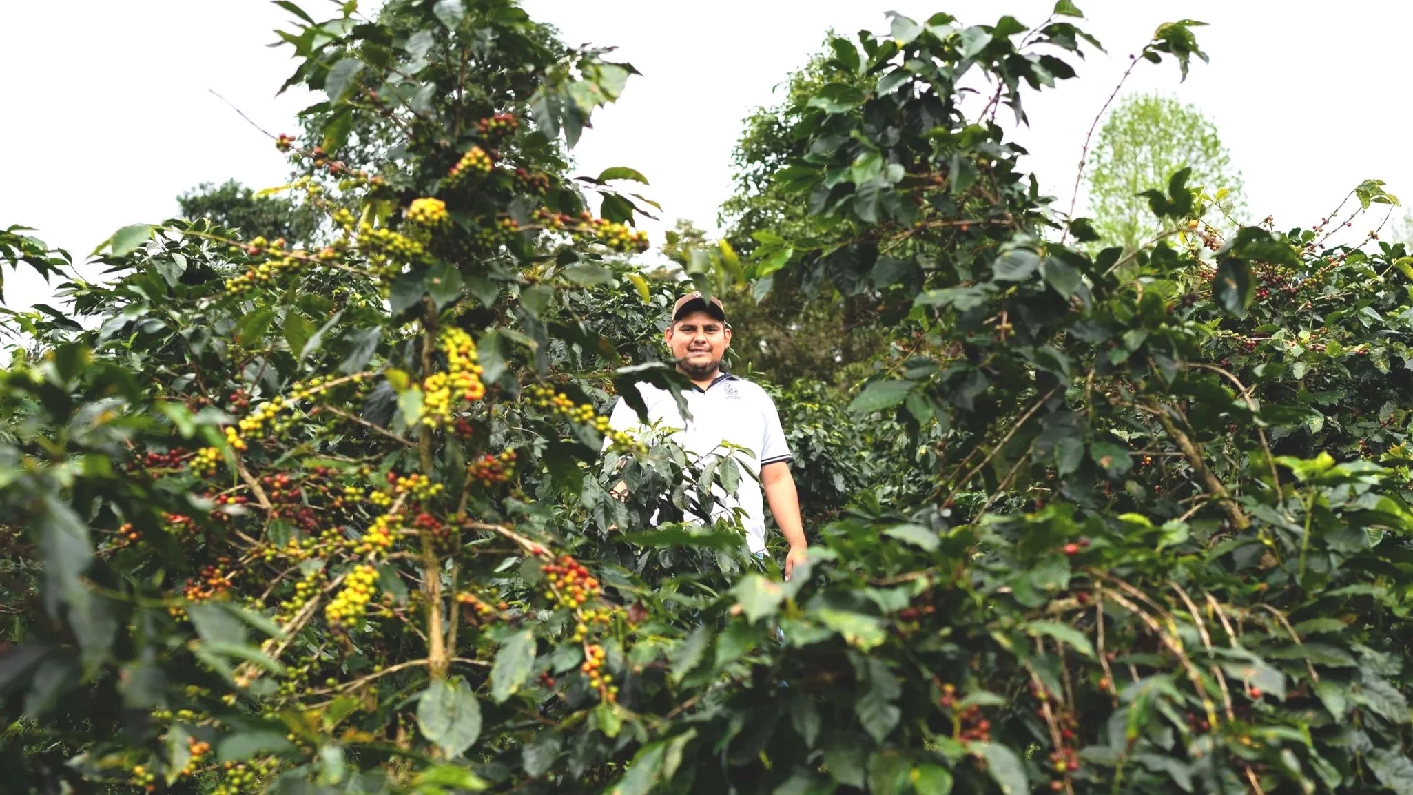 Mario Samuel Mejía Rodríguez