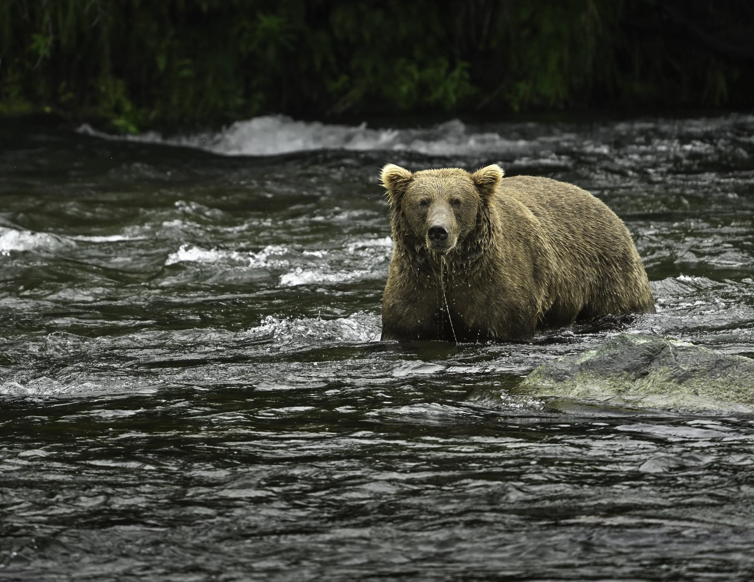 NZ9_4622-Edit.jpg