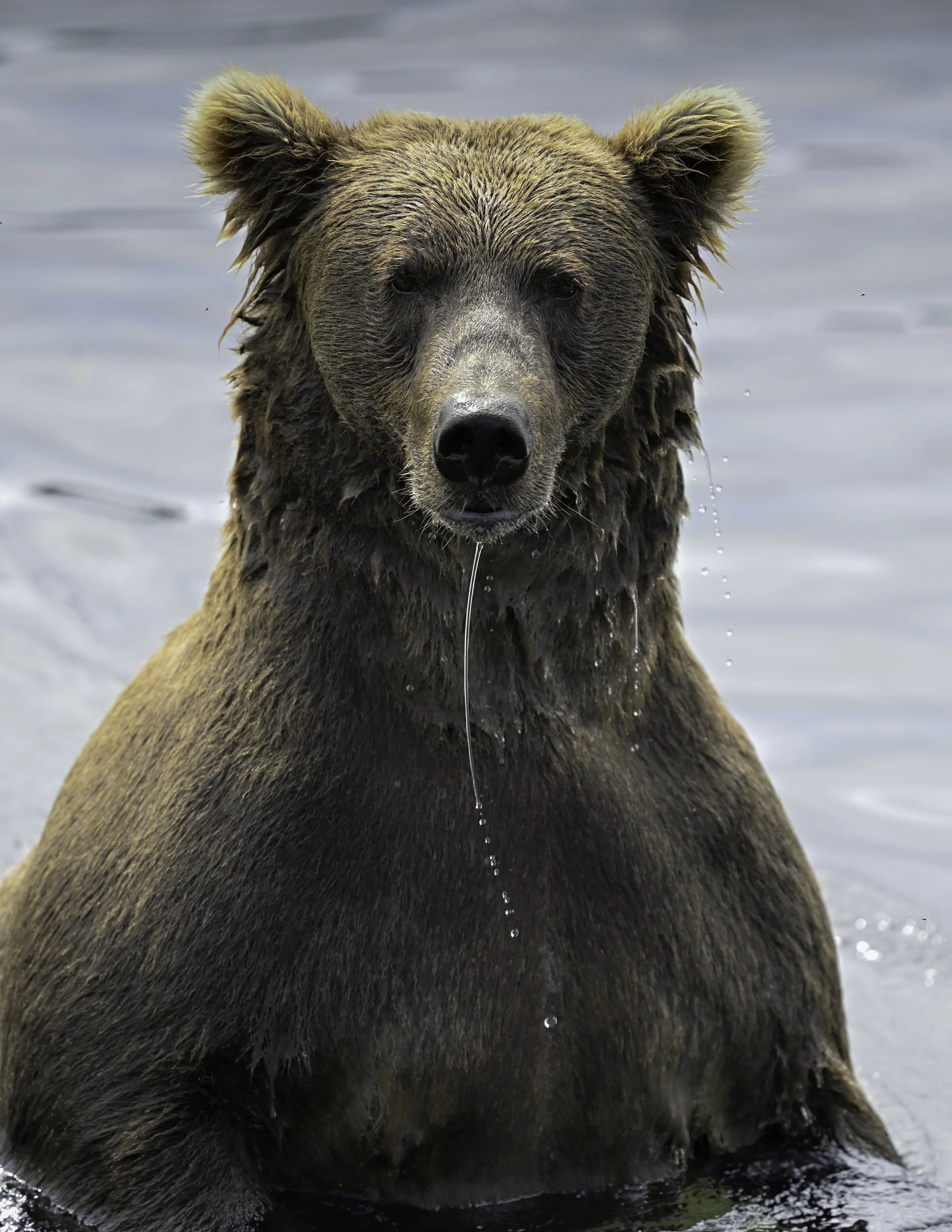NZ9_9984-Edit.jpg