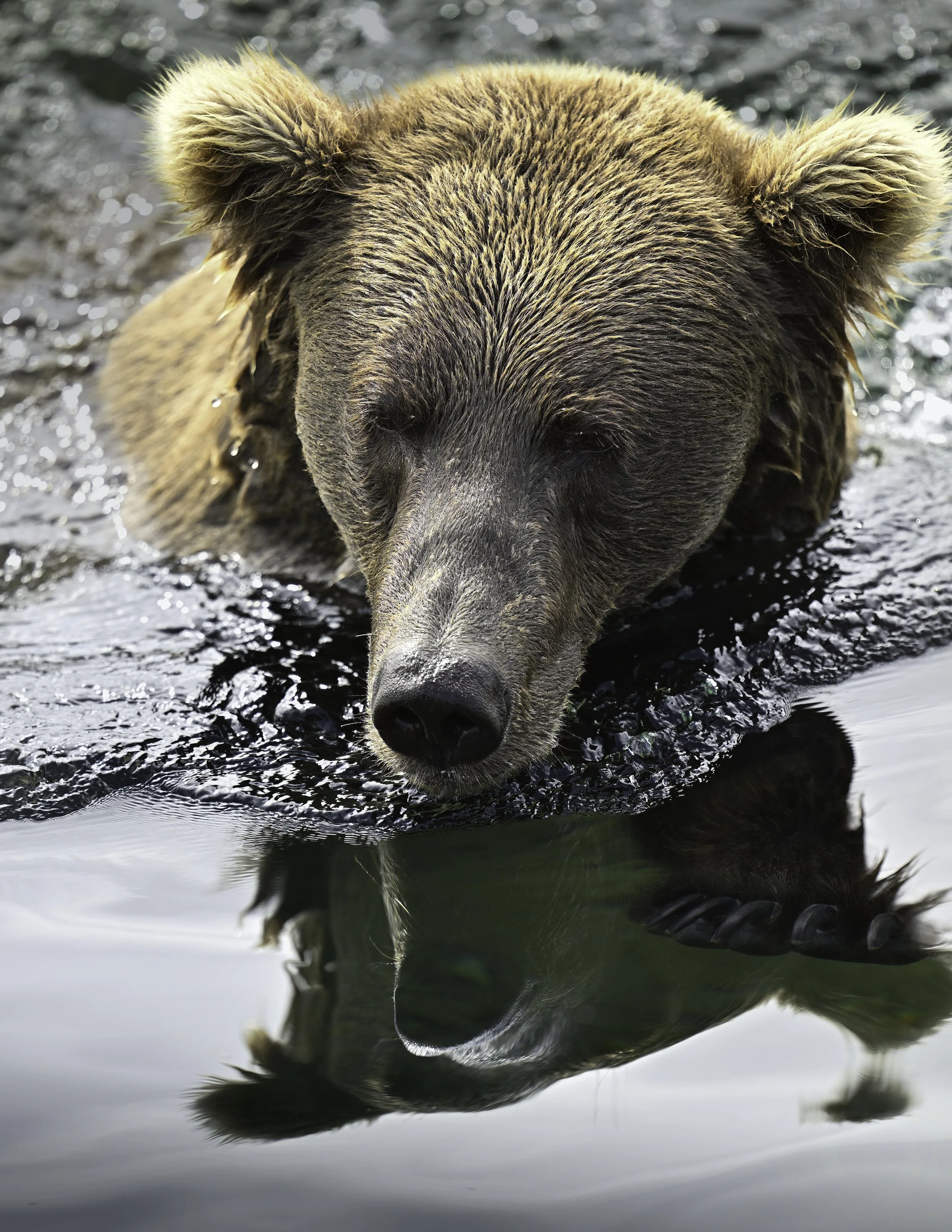 NZ9_0087-Edit.jpg