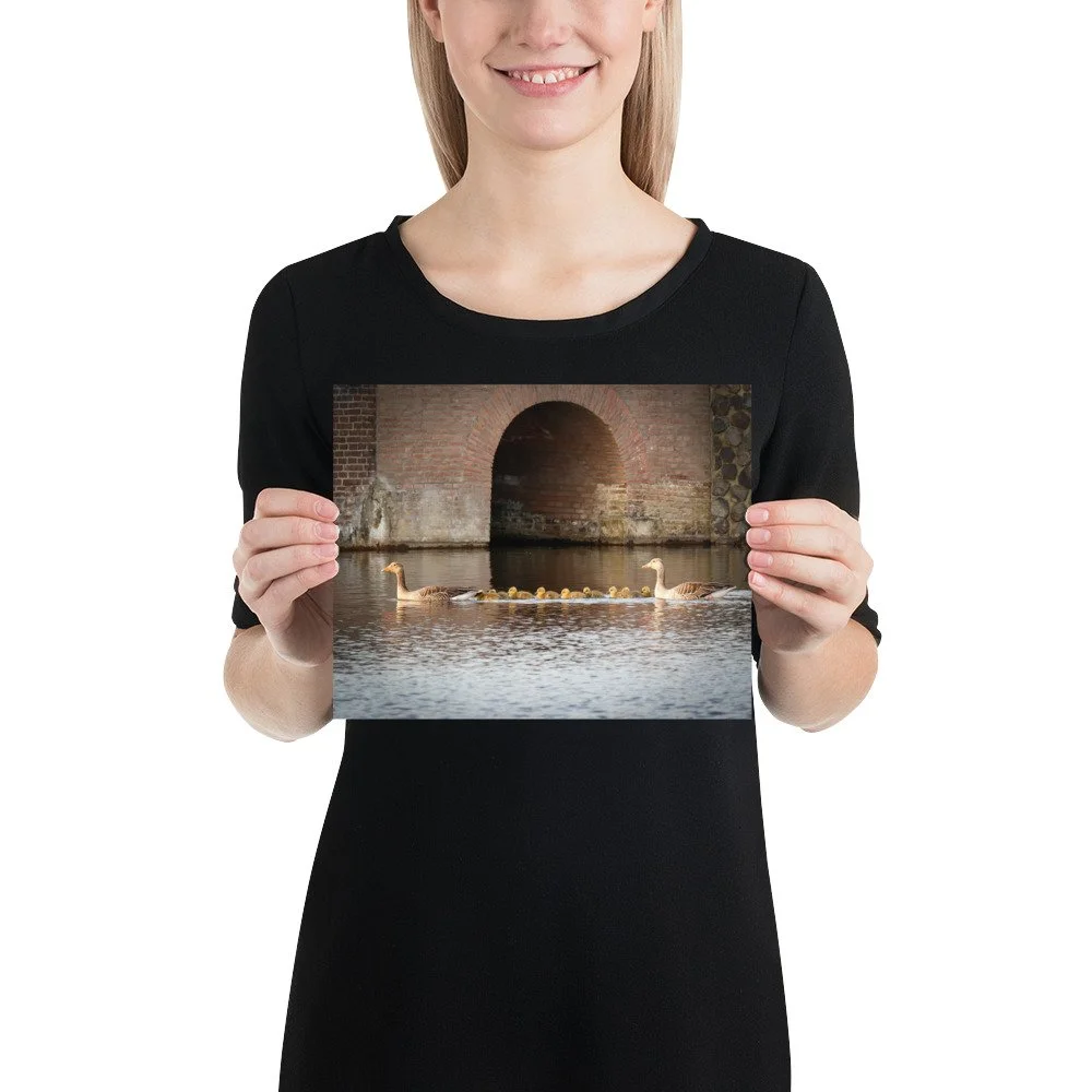 premium-luster-photo-paper-poster-(in)-8x10-person-62cdc86ed88eb.jpg