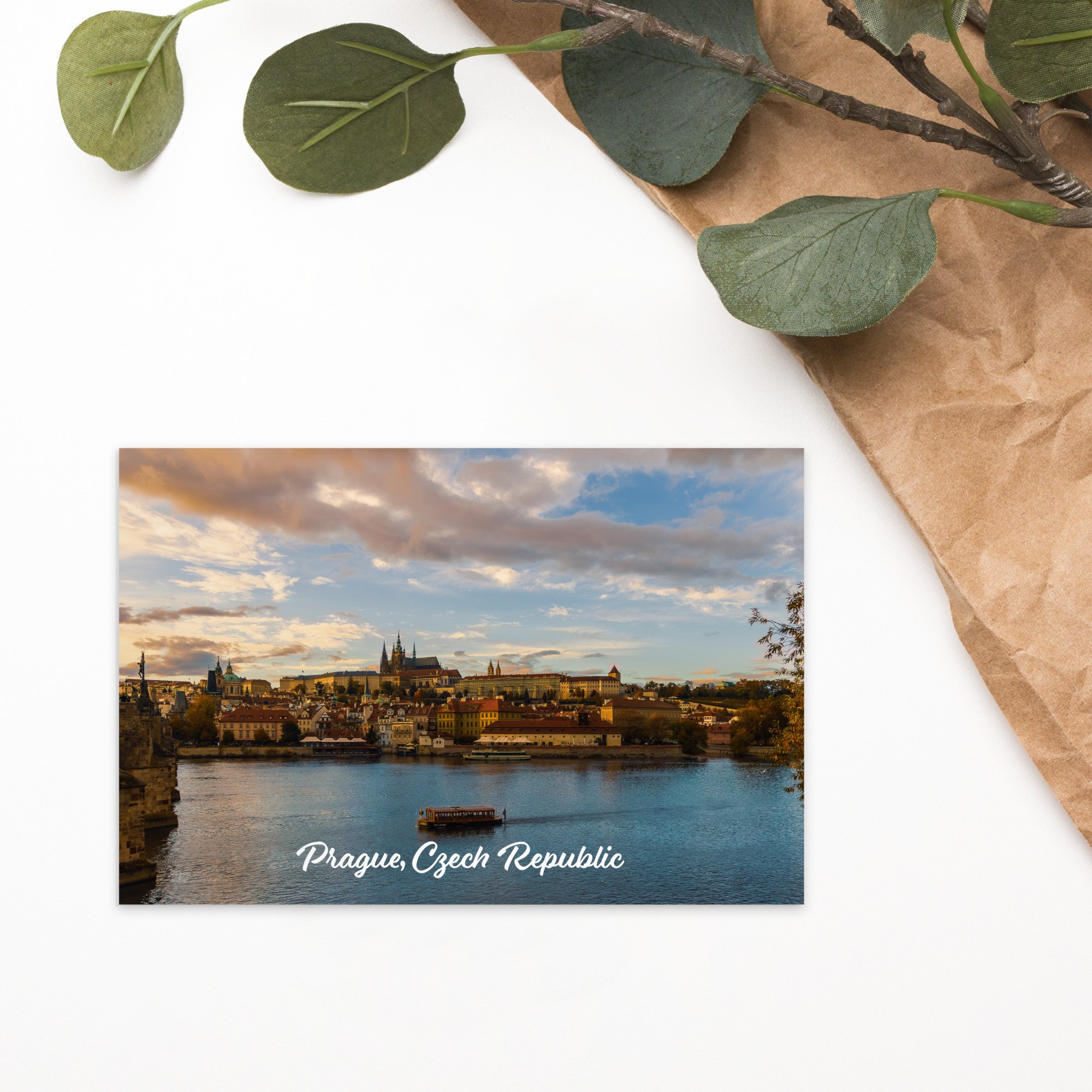 standard-postcard-4x6-front-654fb52377c0f.jpg