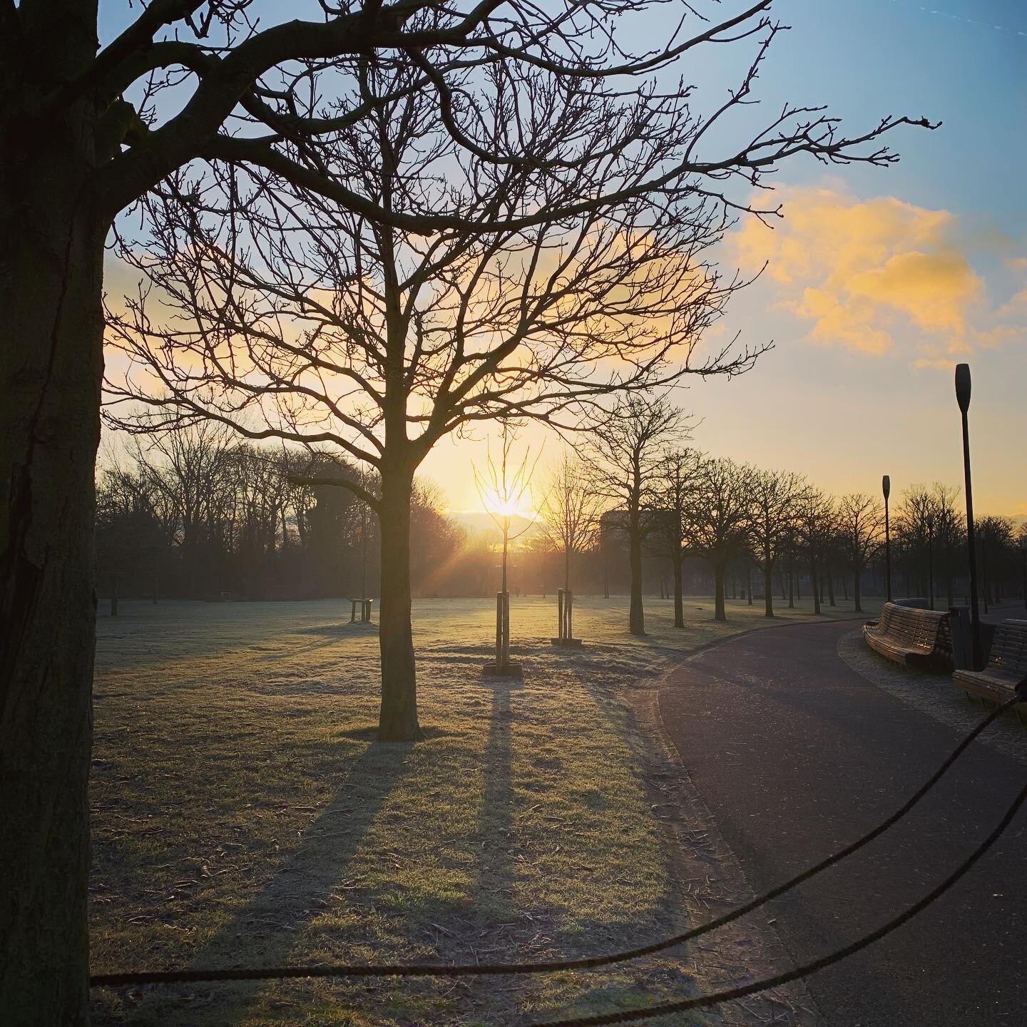 Goodmorning ❄️ Park Frankendael ❄️ #staysafe #hiitworkout #bootcamp #amsterdam #parkfrankendael