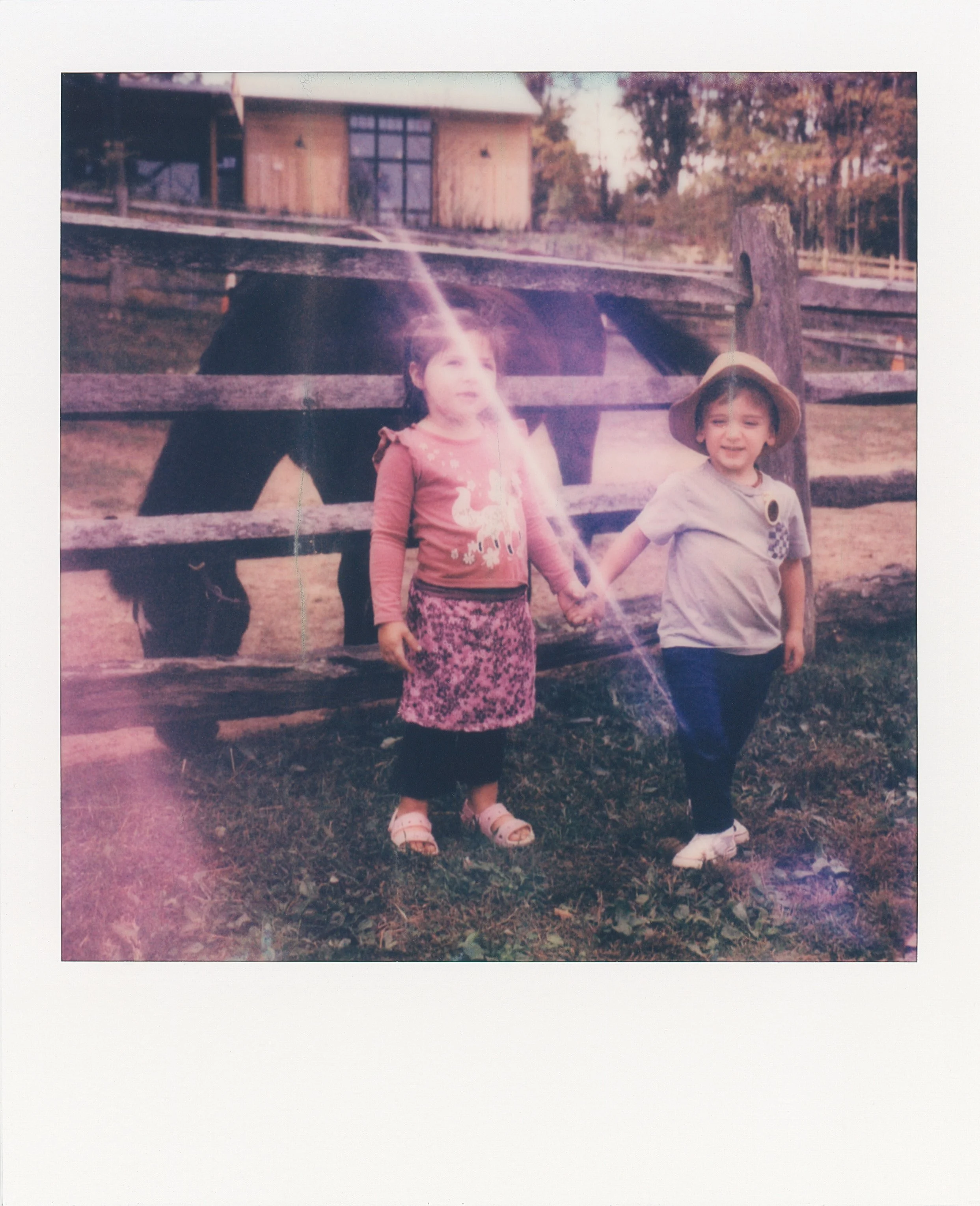 20250930_ZF_StamfordCT_PolaroidSX-70_0096edit.jpg