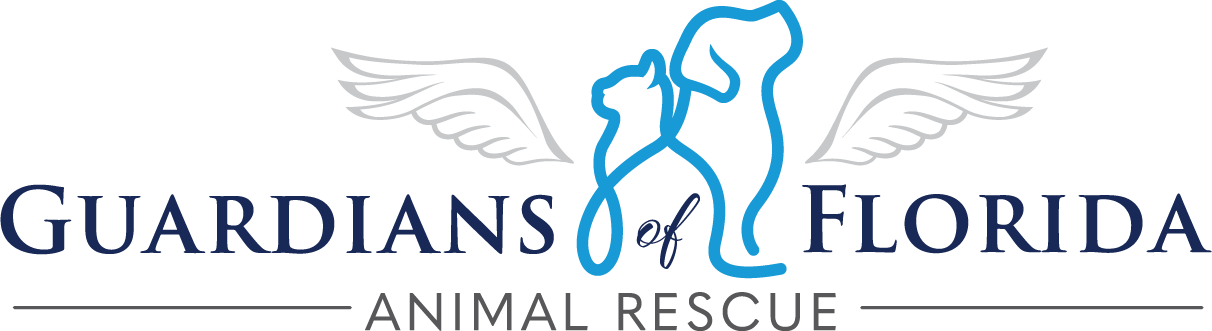 Guardians of Florida Animal Rescue