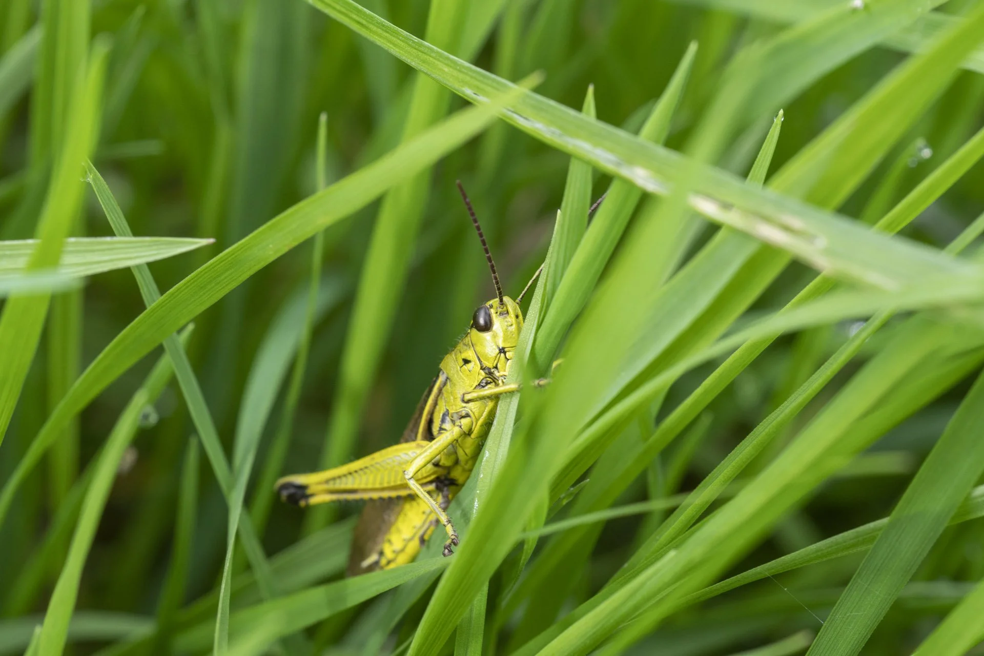 Tajemnice rzeki Jeziorka