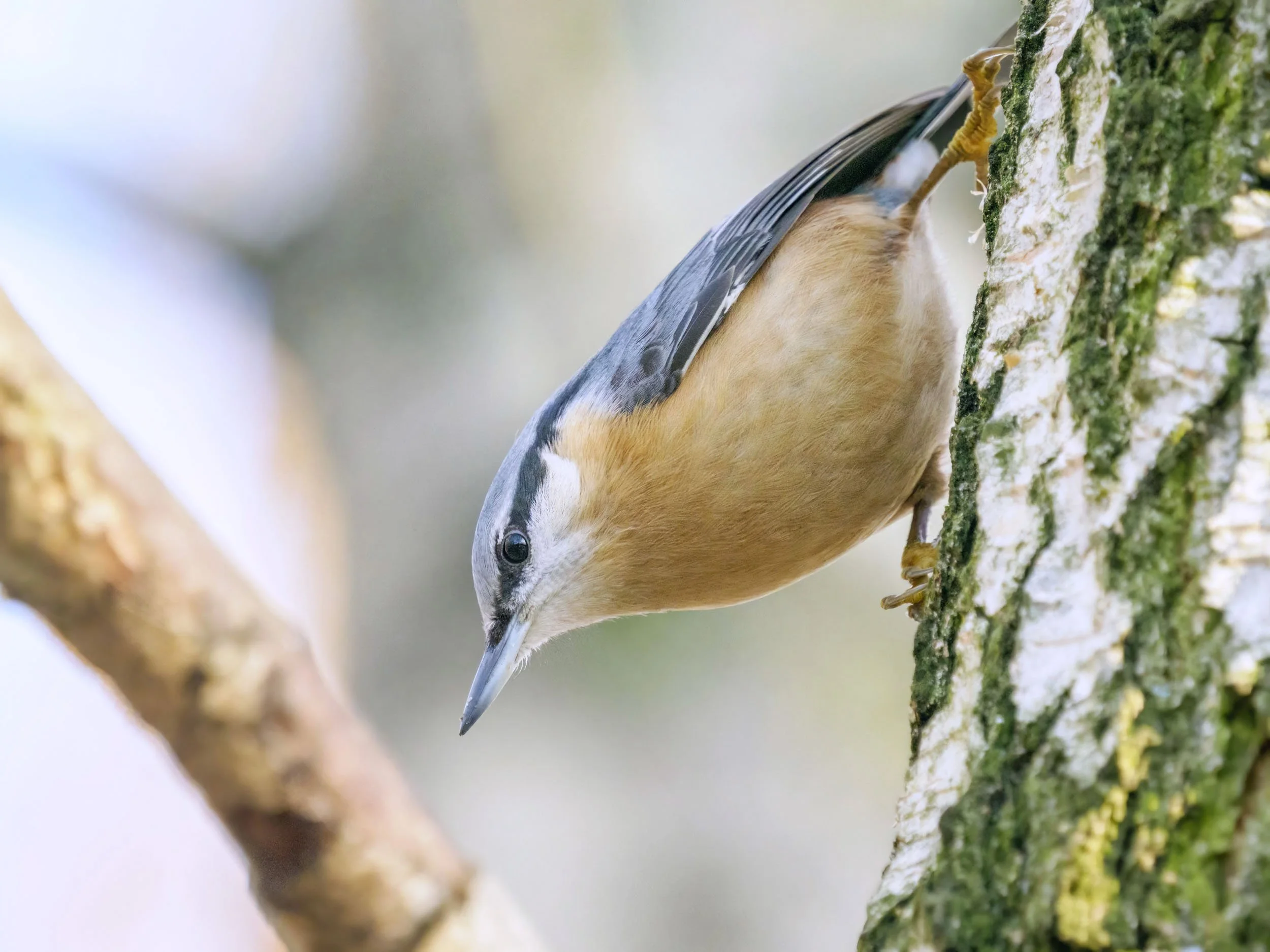 Wreszcie odrobina słońca