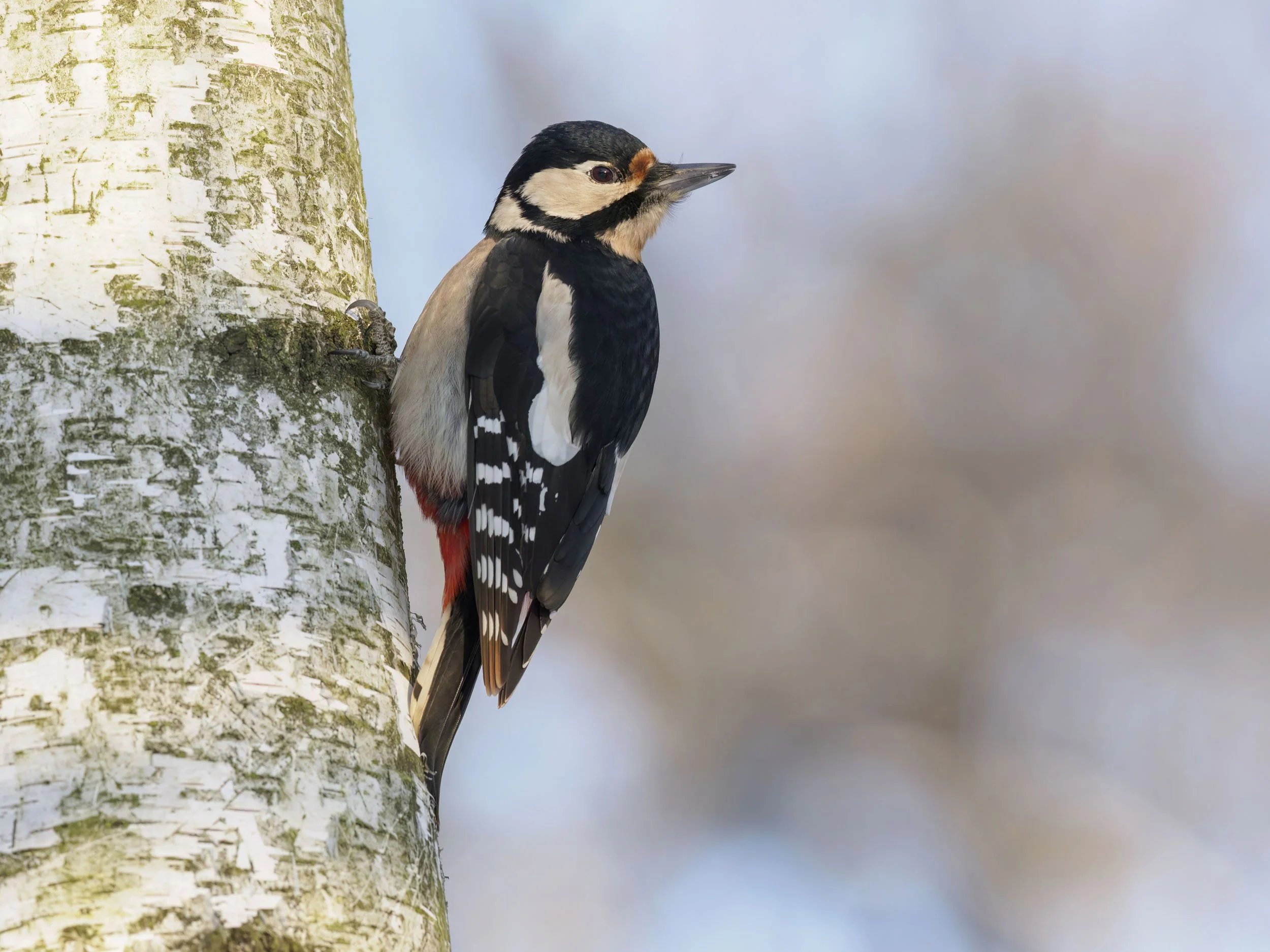 Testy nowego obiektywu