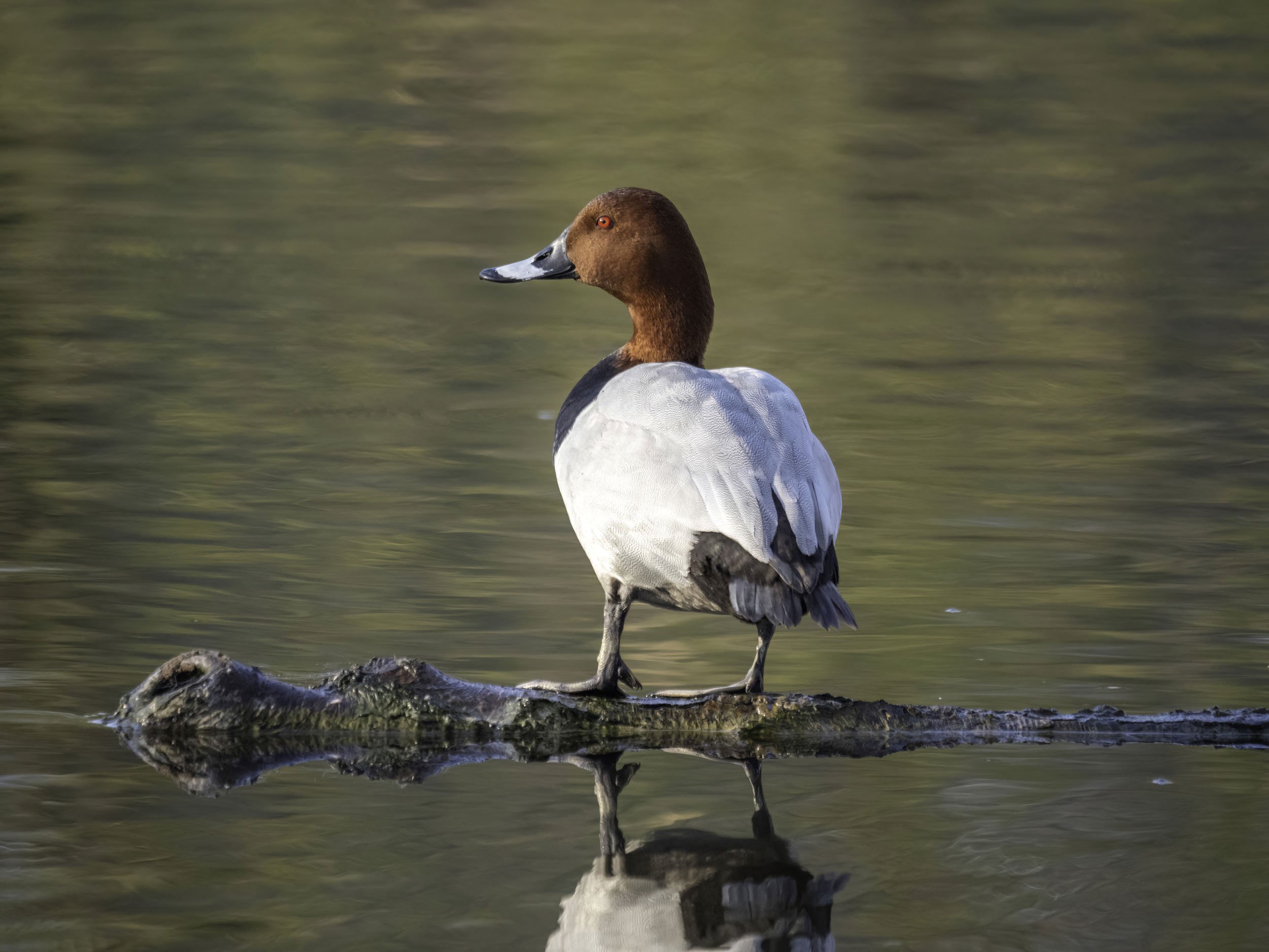 To światło zapamiętam na długo