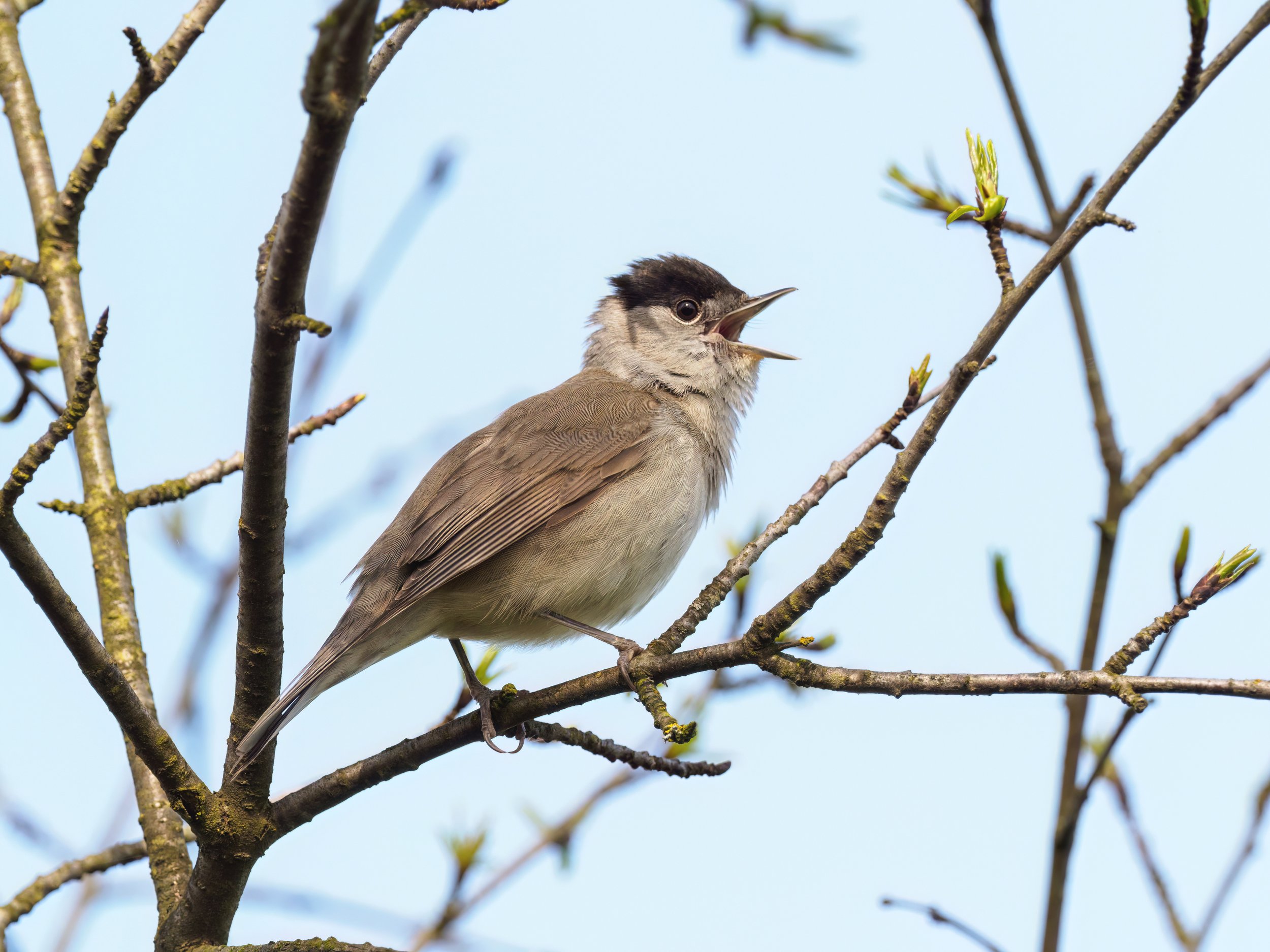 Poleski Park Narodowy