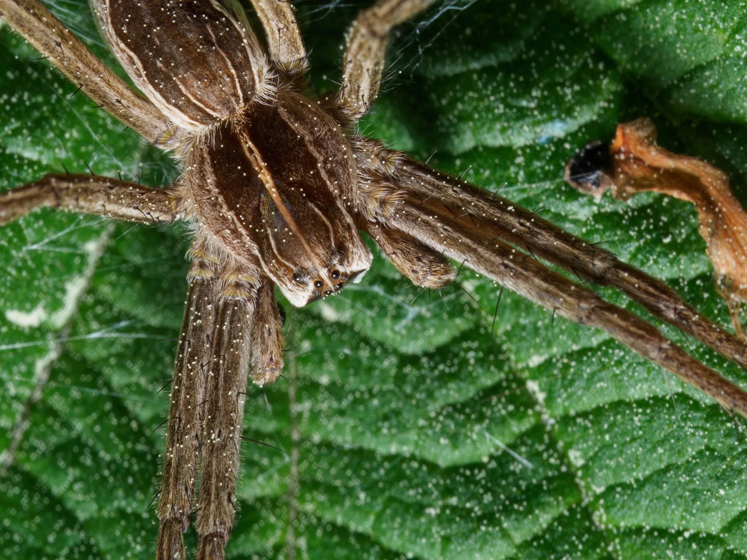 To jeszcze nie sezon na makro