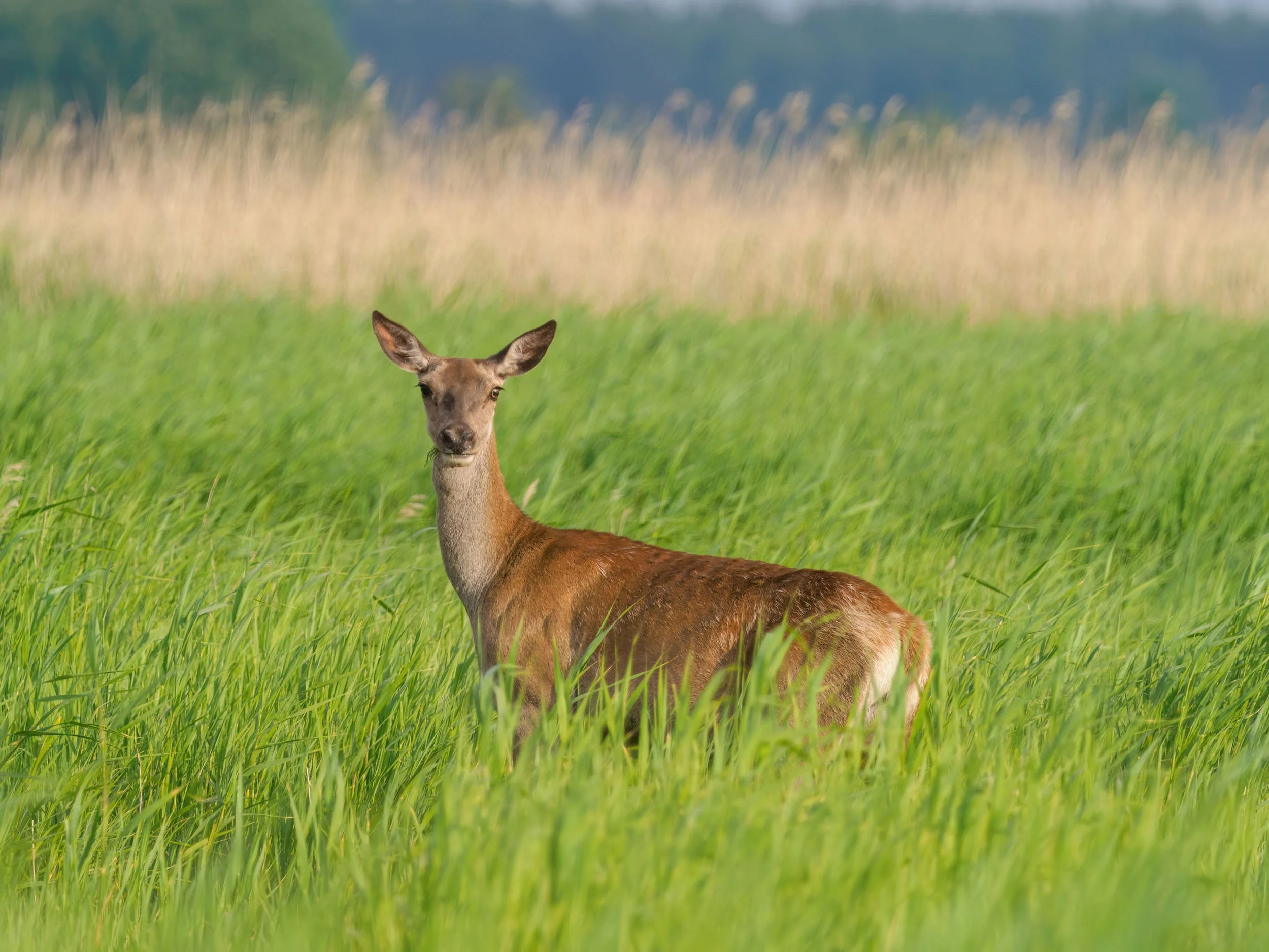Słowiński Park Narodowy
