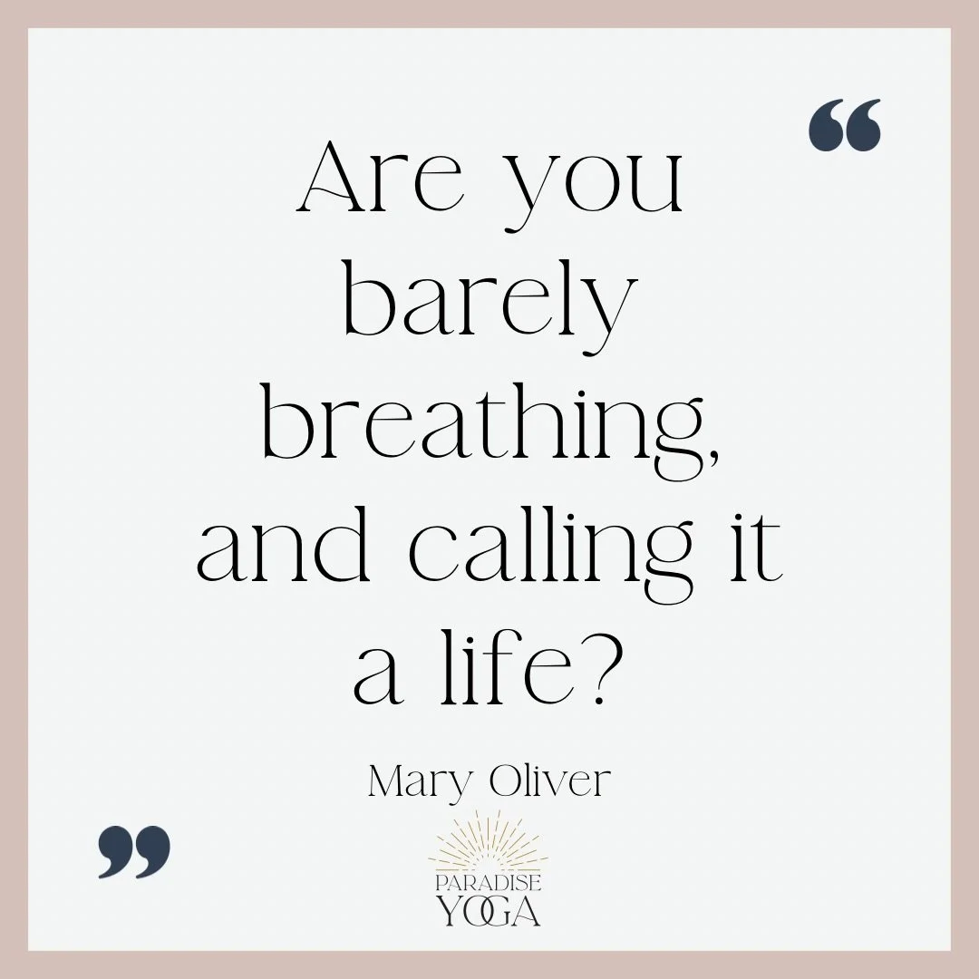 I&rsquo;ve been in yoga therapy training all weekend, and nearly the entire time was spent exploring the breath.

Not just talking about it, but experimenting with it. Observing it. Feeling how even small shifts in the breath can ripple through the n