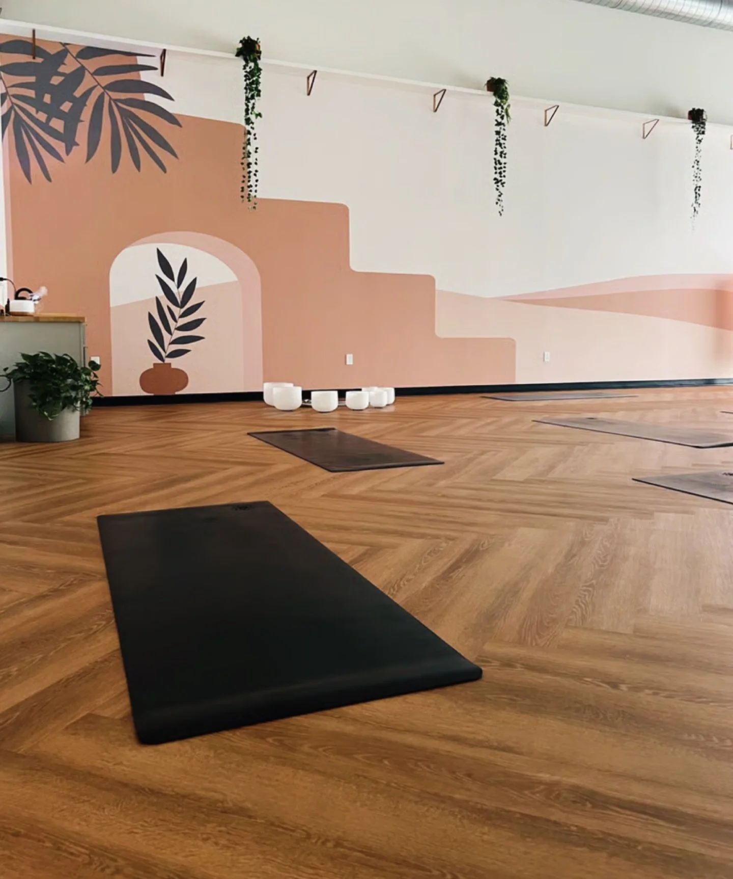 Wednesday is almost here and I could not be more excited to be stepping into this beautiful space. ✨

If you have been looking for an evening practice, come find me at @flowyogatx at the SoCo location starting this week.

Wednesday evenings: 

4:30 P