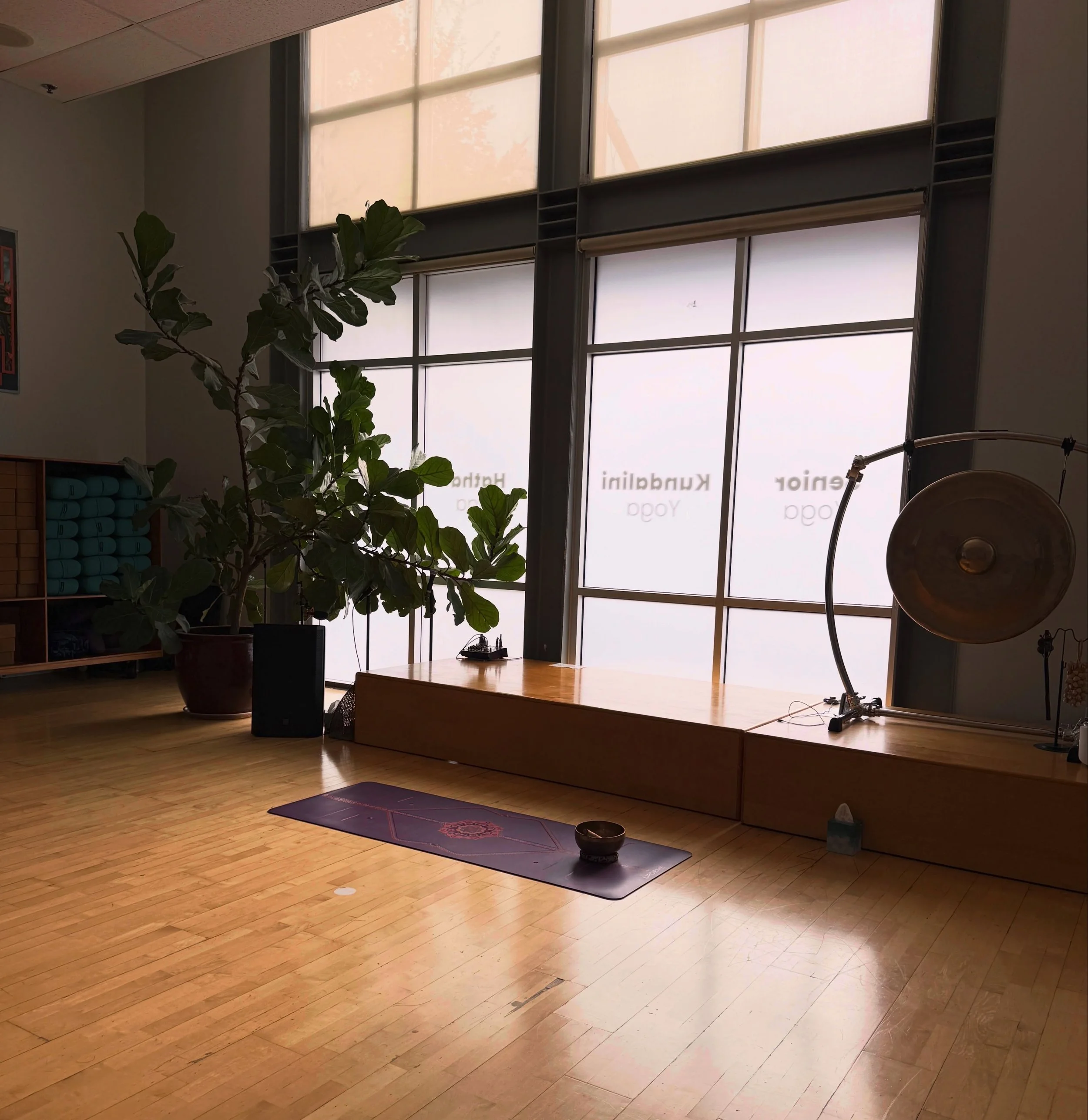 I taught my first class at @flowyoga.westgate today, and it felt like a homecoming of sorts. 💜

I began my teaching journey right here, in this studio, over 10 years ago, when it was still @yogayogaaustin. I taught in this very room until the day ou
