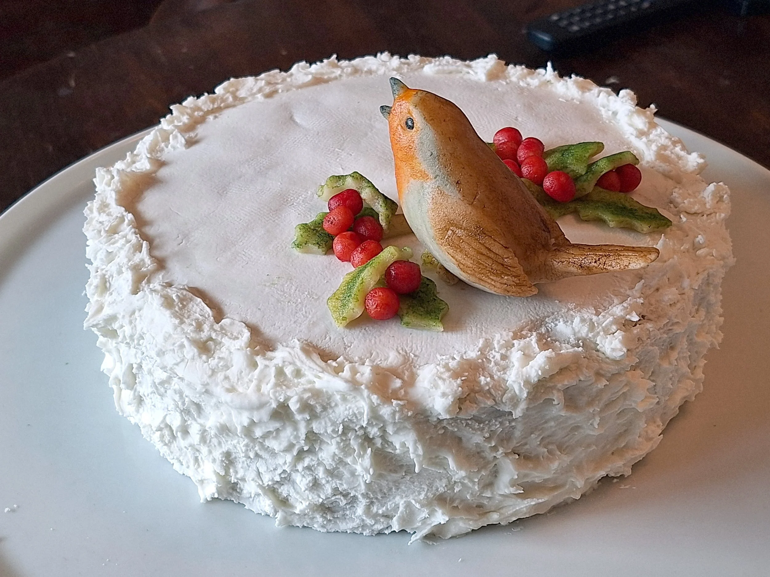 Christmas Robin 06.jpg