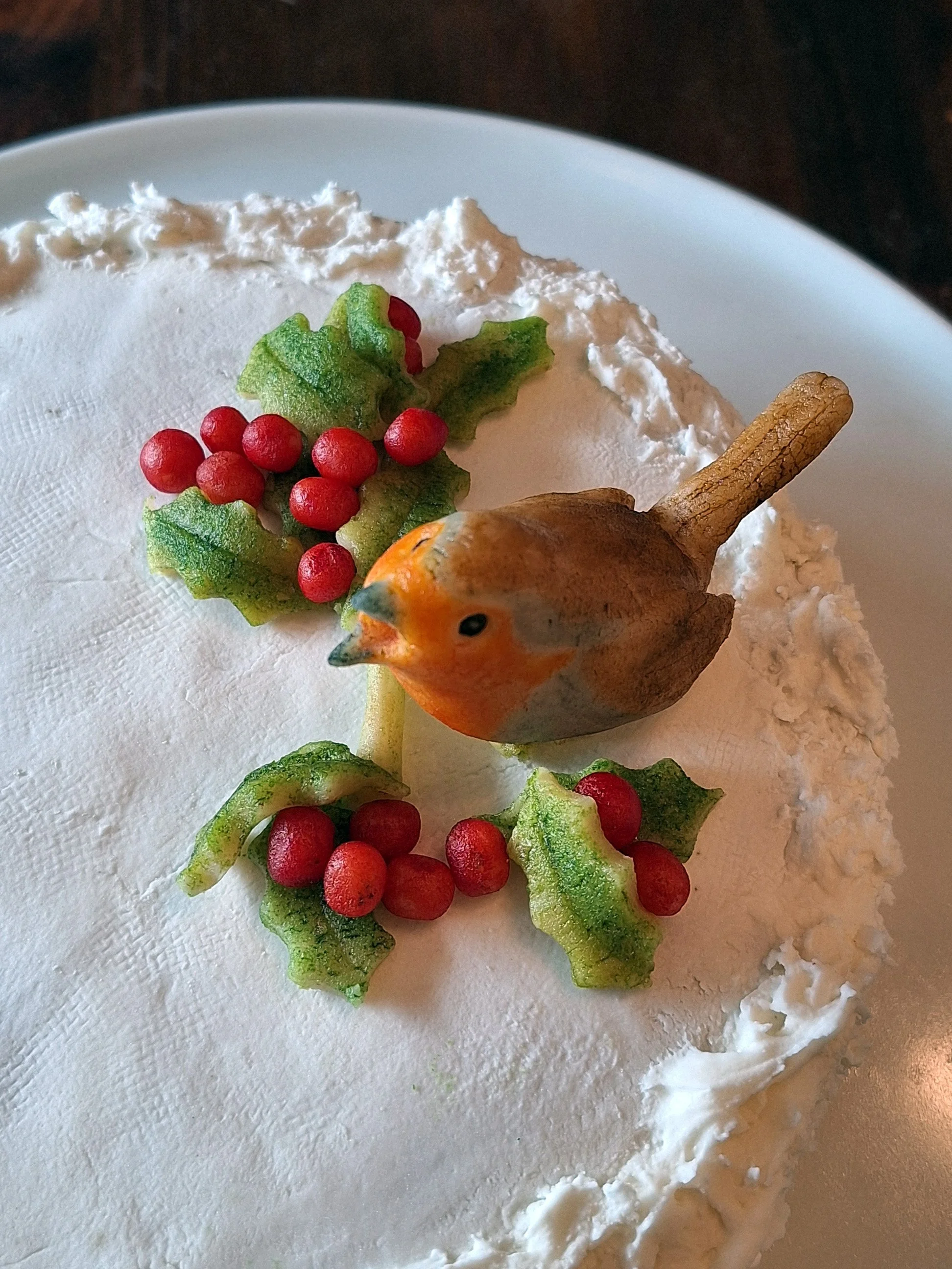 Christmas Robin 05.jpg