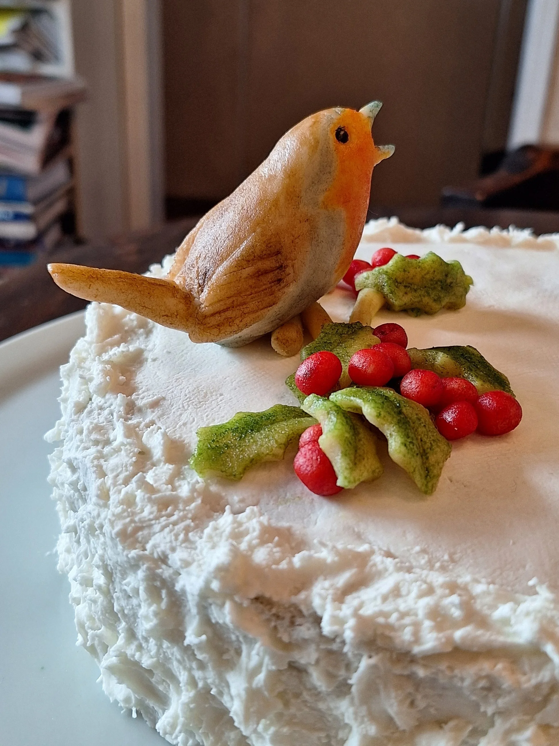 Christmas Robin 04.jpg