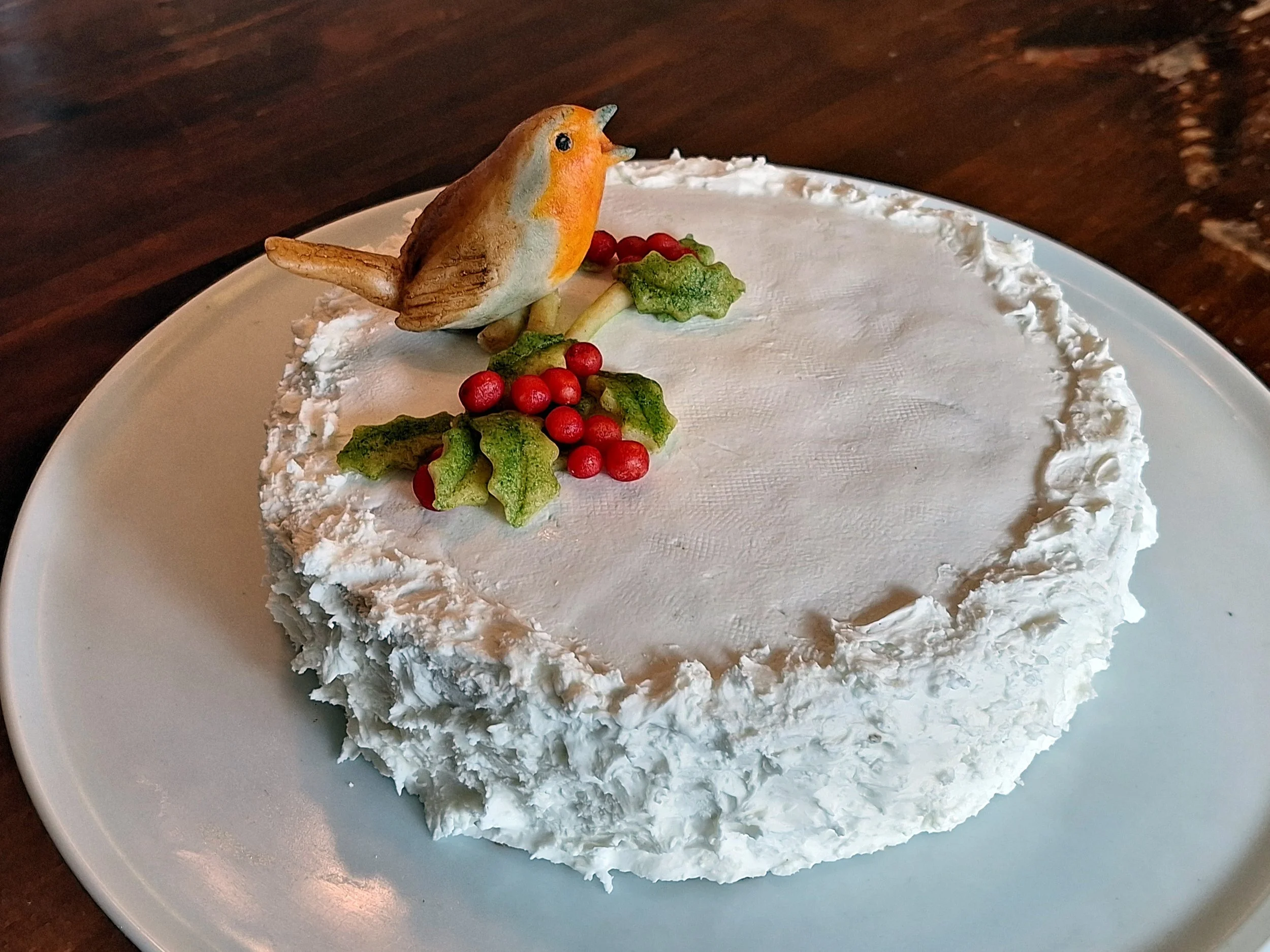 Christmas Robin 01.jpg