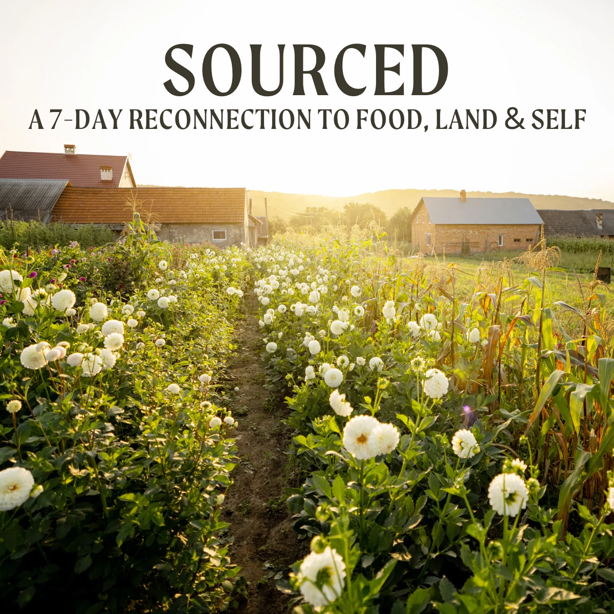 Sourced: A 7-Day Reconnection to Food, Land & Self