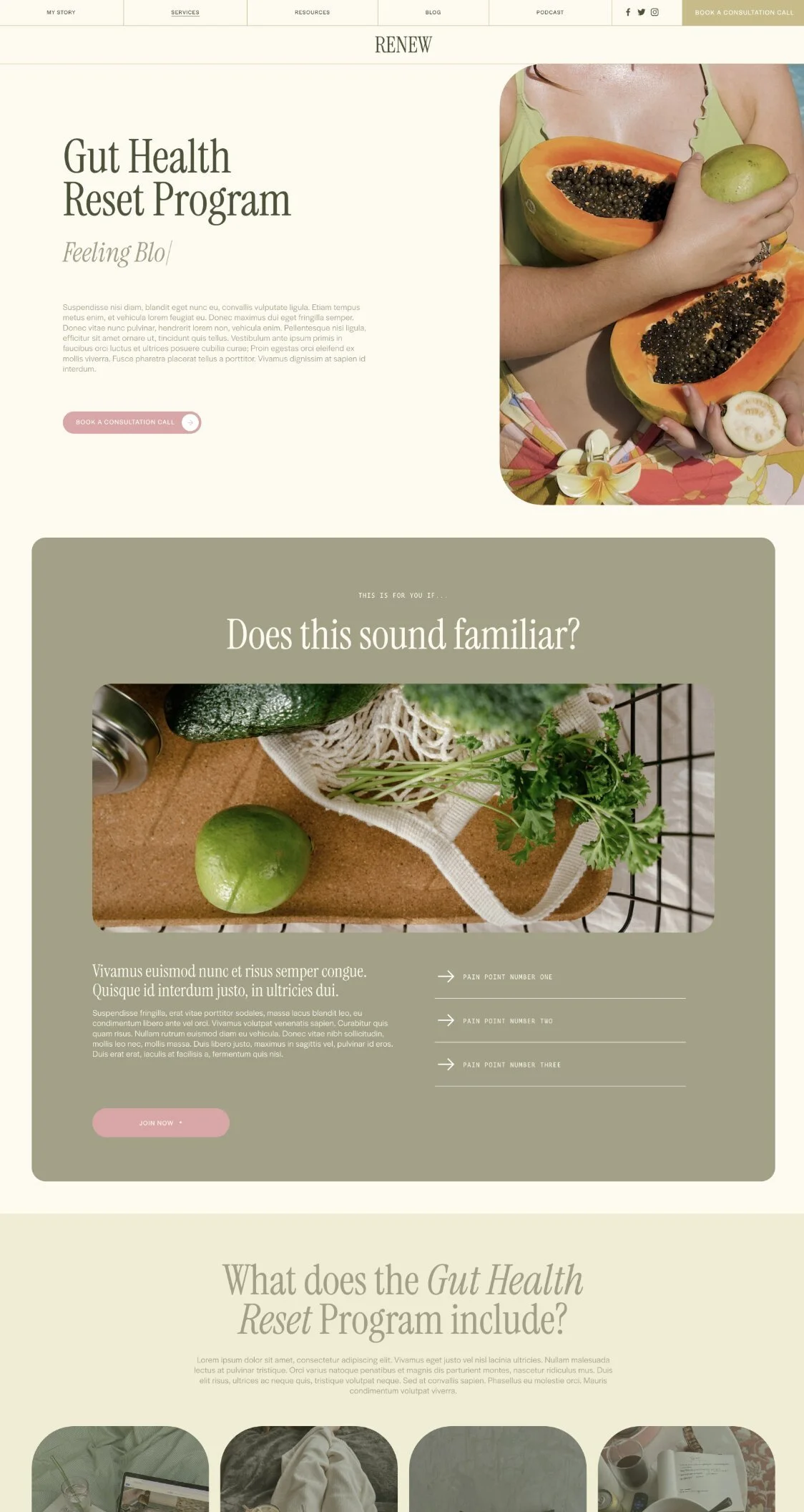 Renew Program 2 Page Screenshot.jpg.jpg
