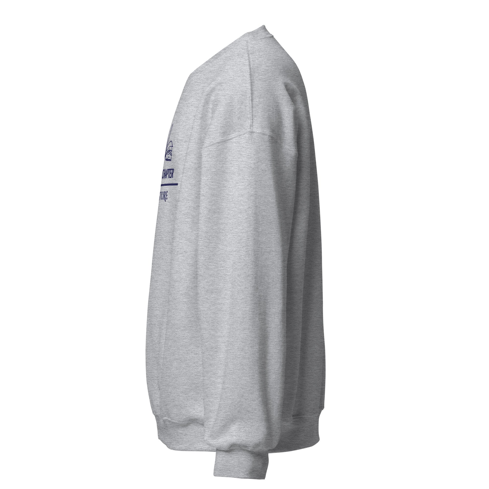 unisex-crew-neck-sweatshirt-sport-grey-left-685824a994d4f.jpg