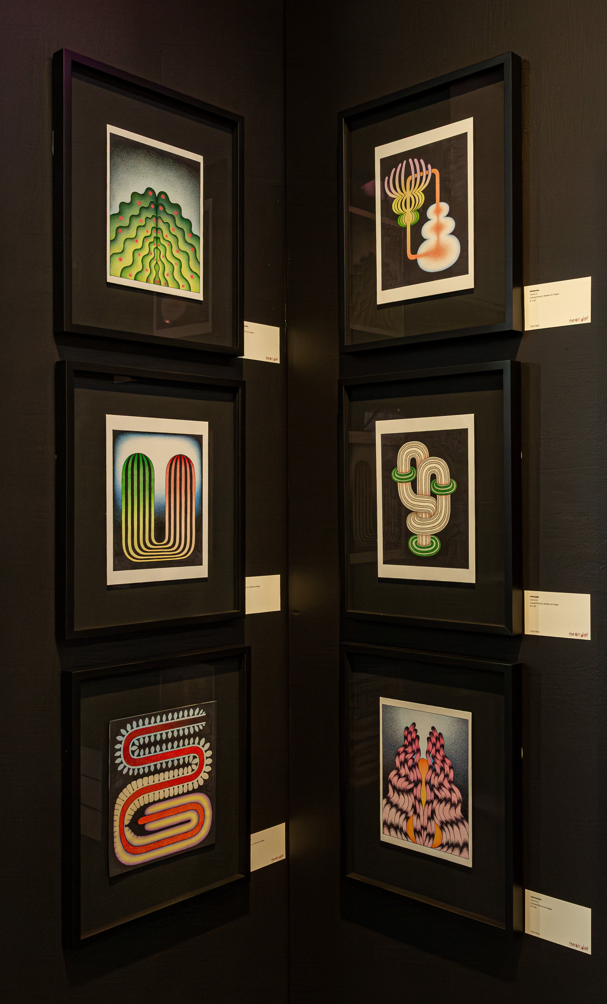 6 Drawings Laura Lit Art Wolf Gallery.jpg