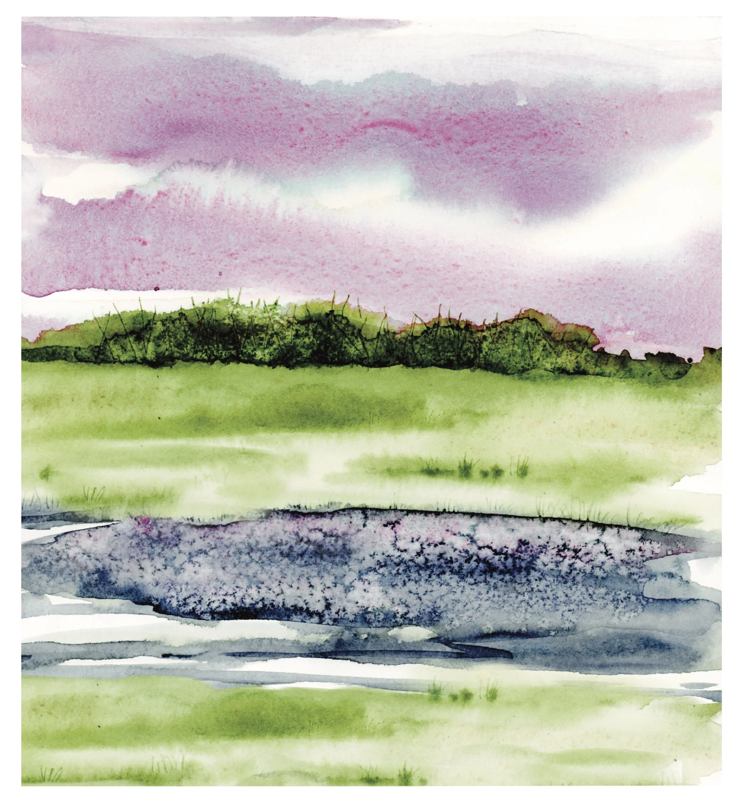 Watercolor painting of a landscape with green grass, a small body of water, a line of dark green trees, and a pink and purple cloudy sky.