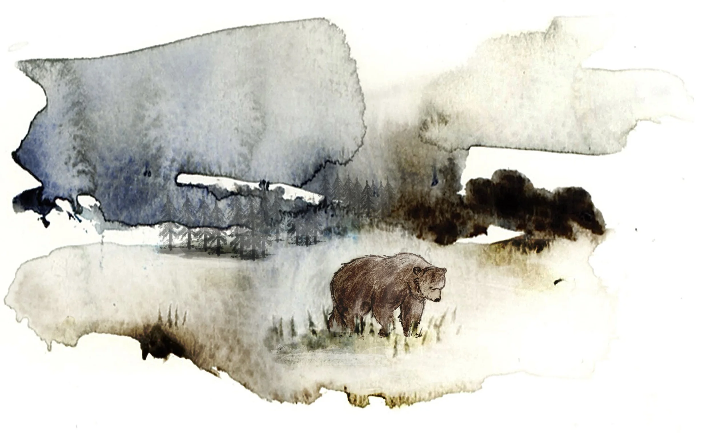 Watercolor painting of a bear walking in an open field with trees and smoke in the background.