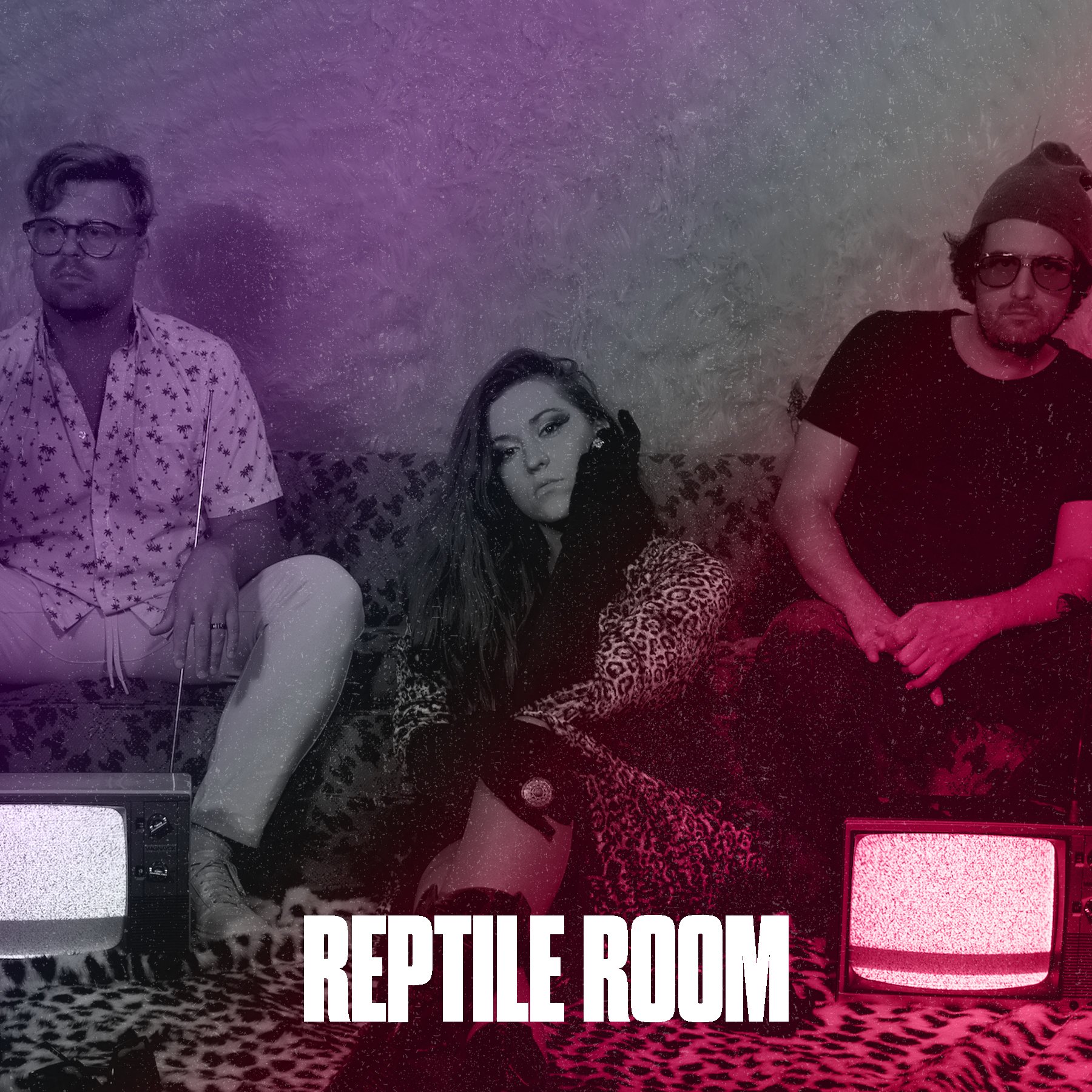 colored reptile room.jpg