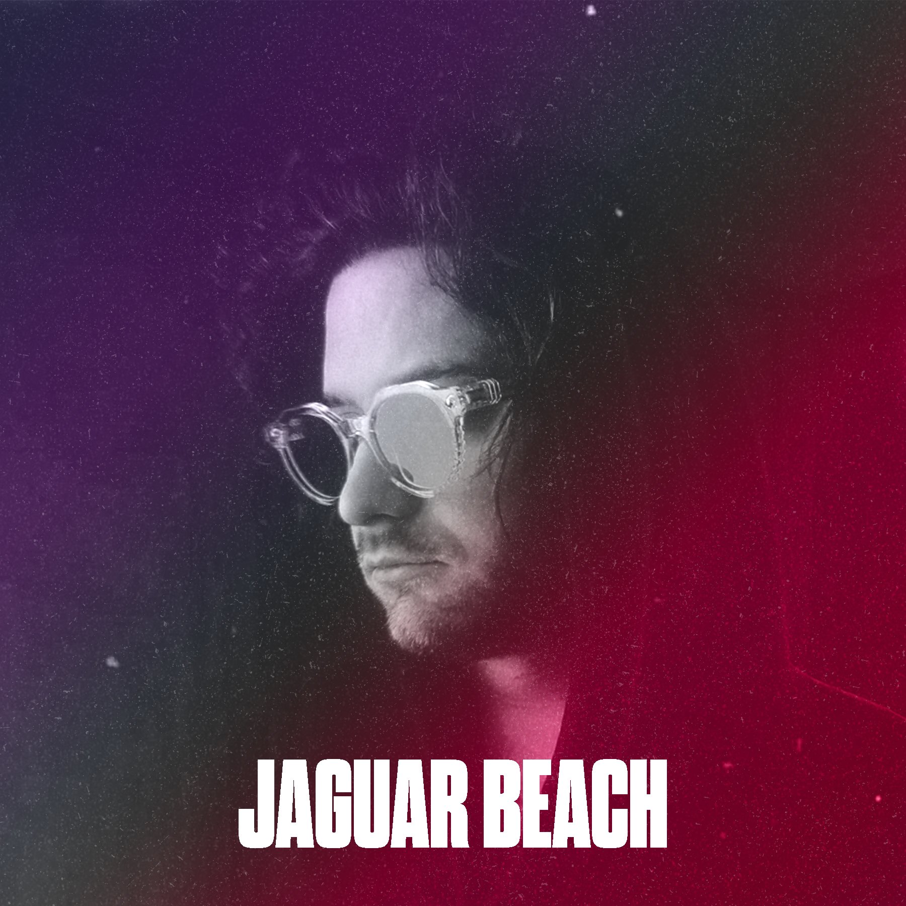 colored jaguar beach.jpg