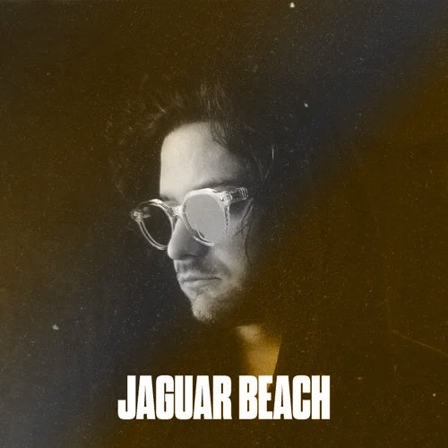 colored+jaguar+beach.jpg