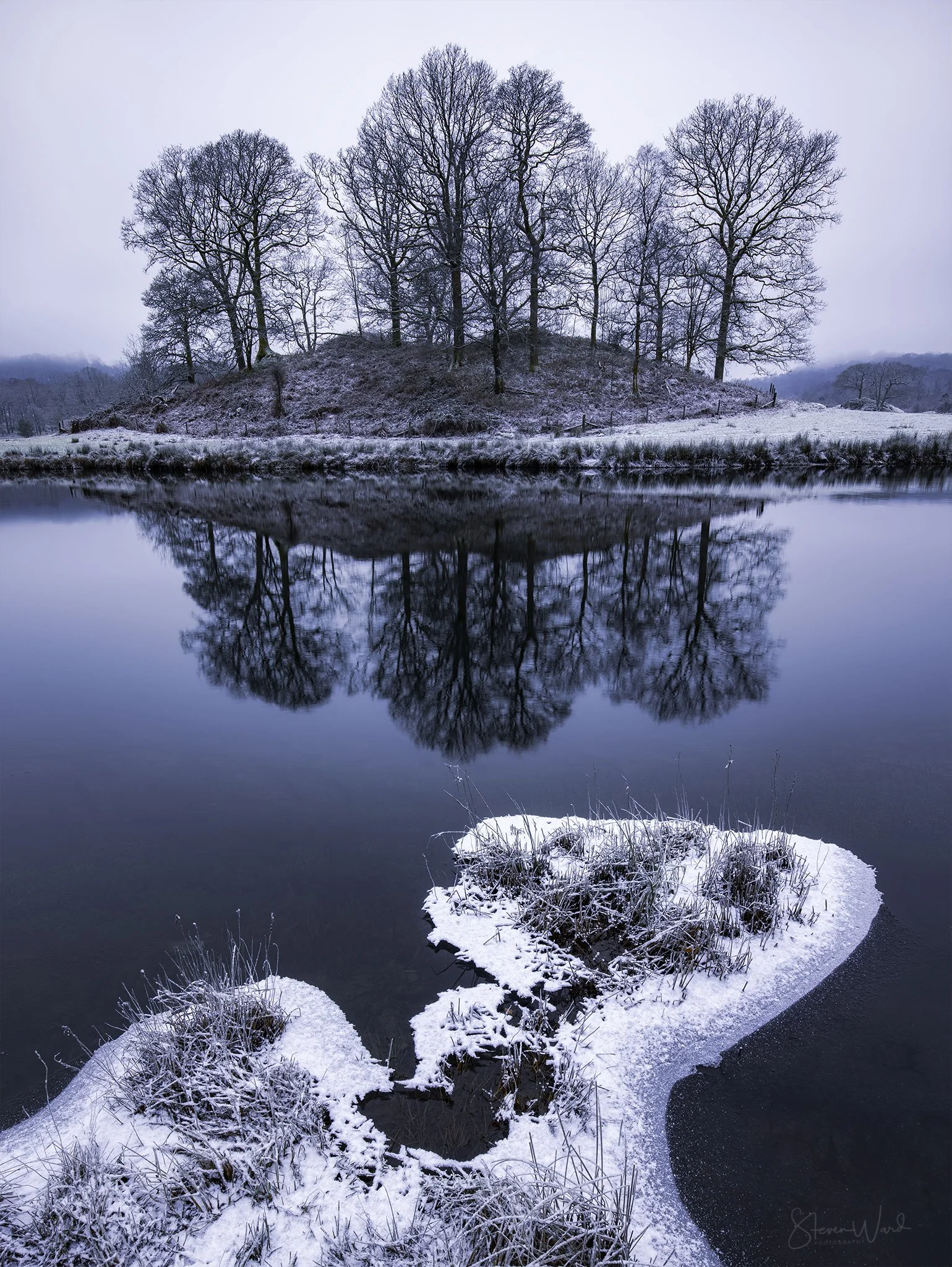 A winter landscape featuring a snowy, leafless tree-covered hill reflected in a calm body of water, with snow-covered plants and ice in the foreground.
