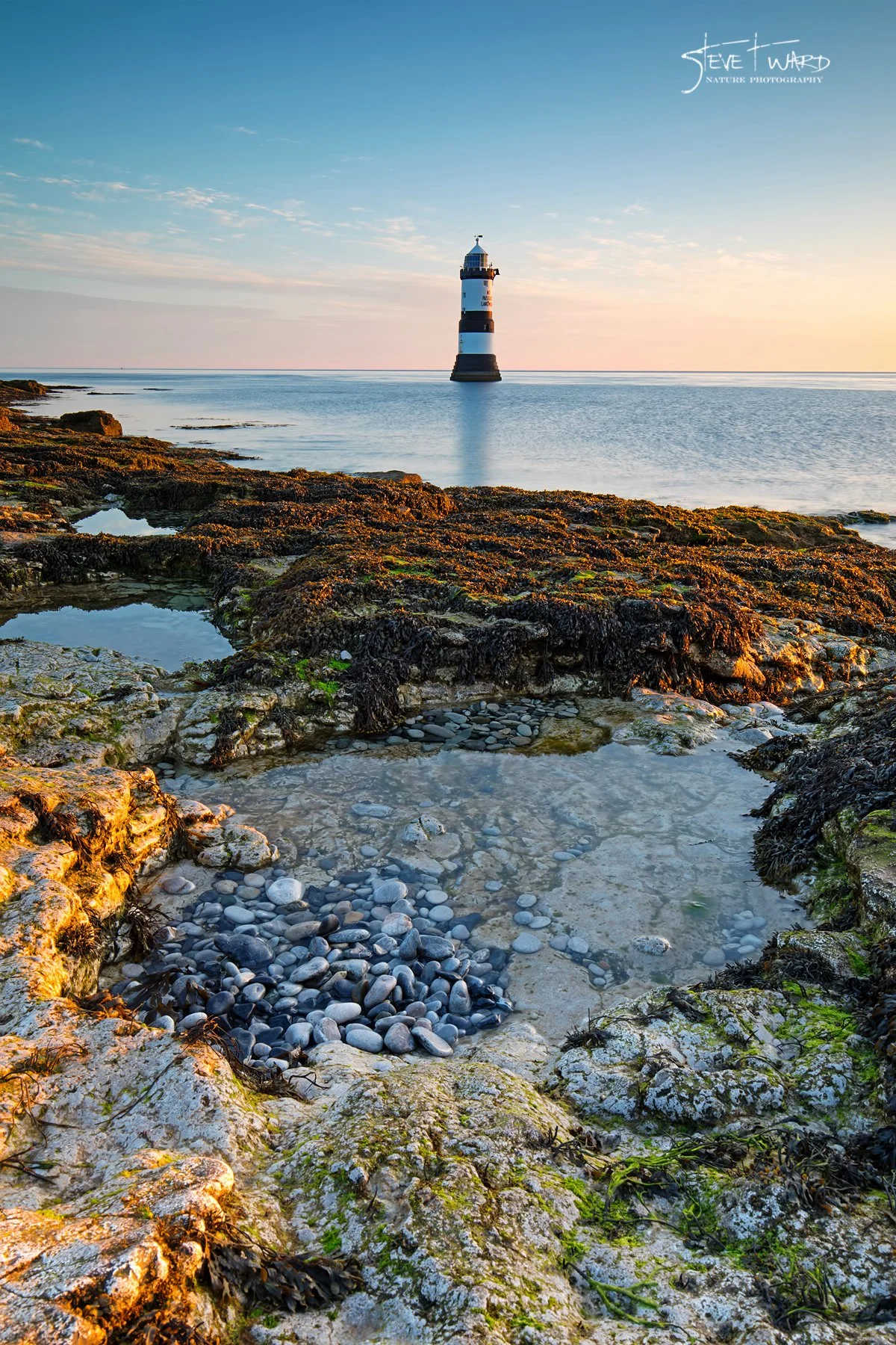 A lighthouse at sunset on a calm sea, seen from a rocky shore with tide pools and seaweed in the foreground.