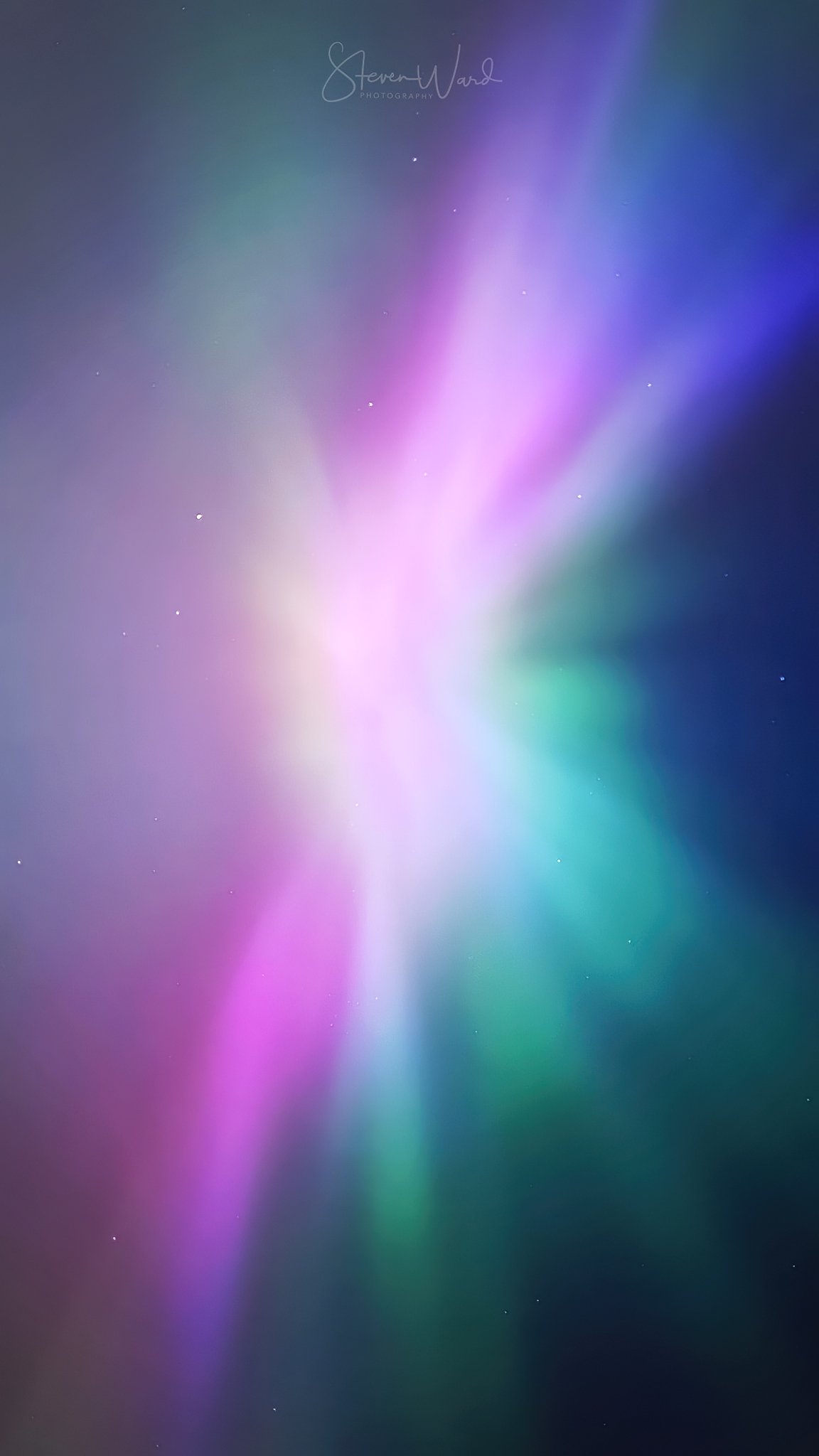 Abstract colorful light display in shades of purple, blue, green, and white with stars and the signature of Steven Ward at the top.