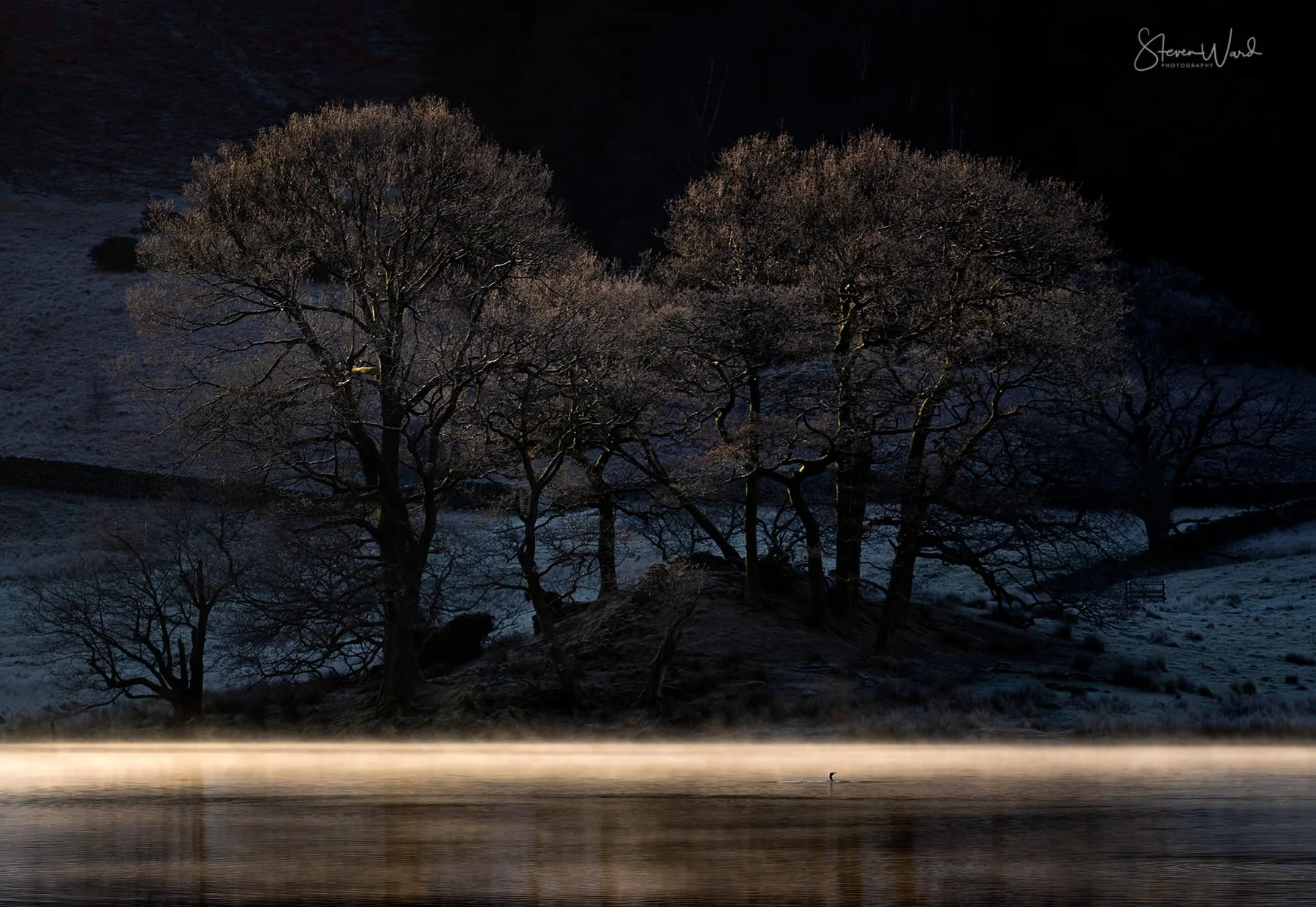 Nighttime landscape featuring a row of leafless trees on a hill, shrouded in darkness. Calm water in the foreground has a misty reflection, with a small boat or canoe floating on the surface.