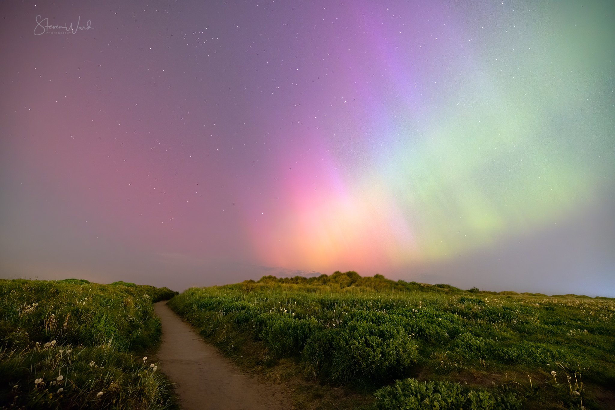 A dirt path through green grassy fields leading toward the horizon at night, illuminated by colorful aurora borealis in the sky with stars.