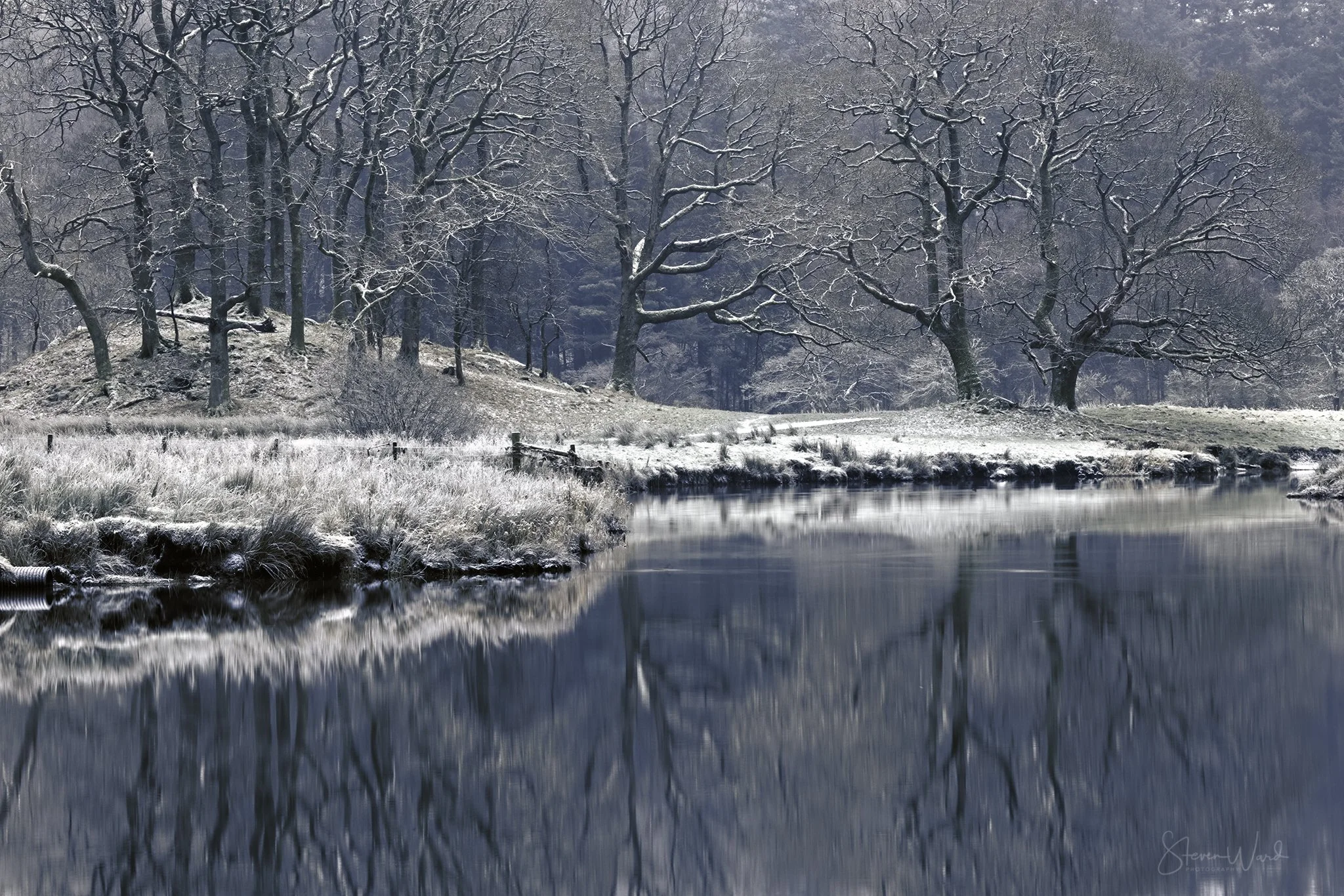 A winter landscape with leafless trees and snow-covered grass by a calm, reflective body of water.