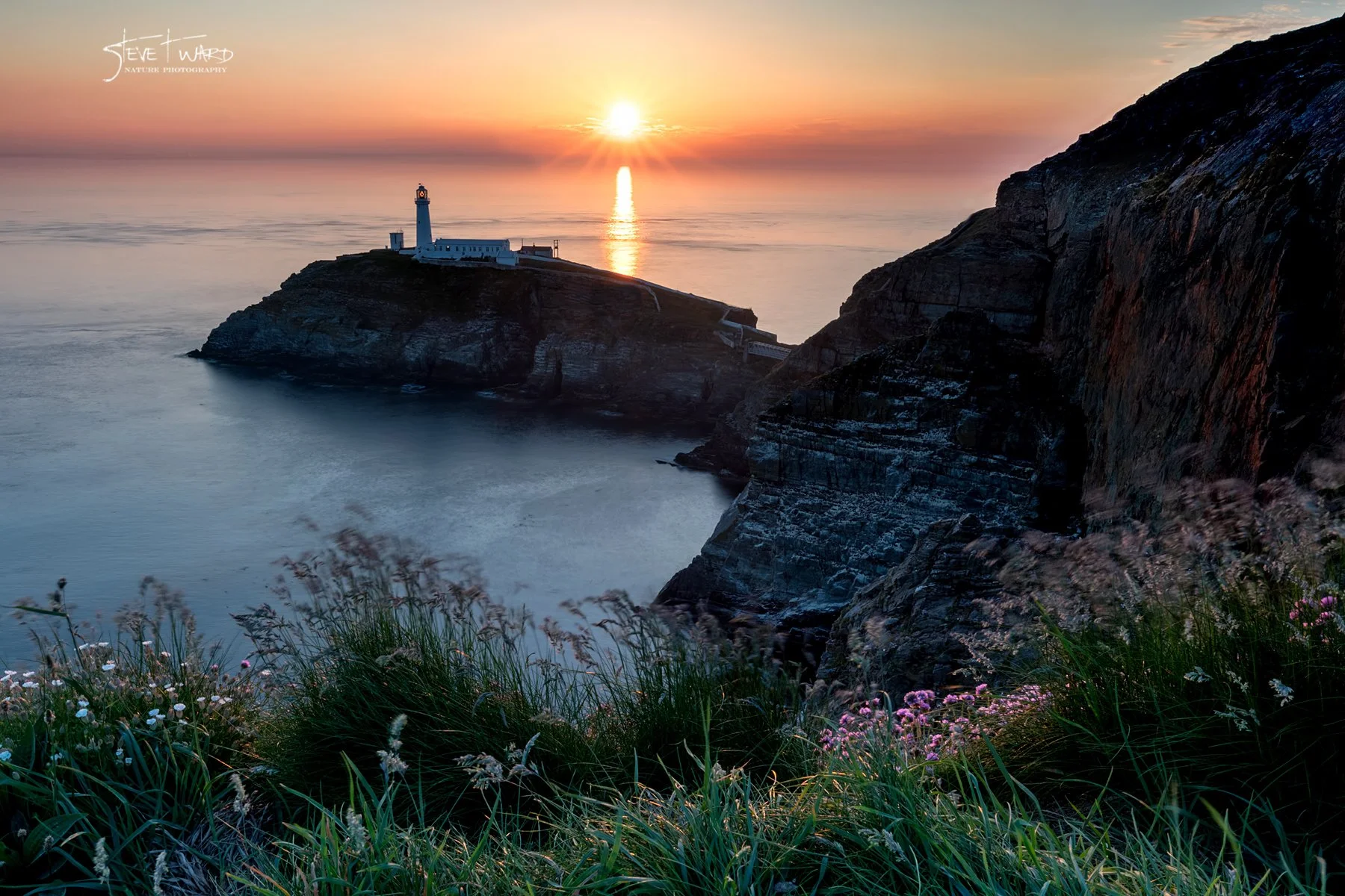 Sunset over a lighthouse on a rocky island, with cliffs and wildflowers in the foreground, calm water, and a colorful sky.